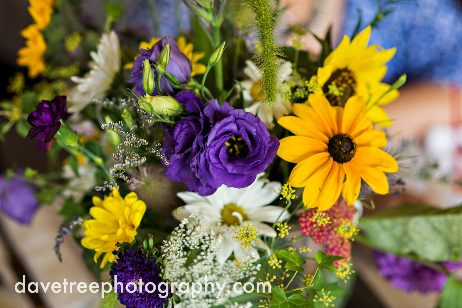 brooklyn_wedding_photographer_brooklyn_michigan_163.jpg