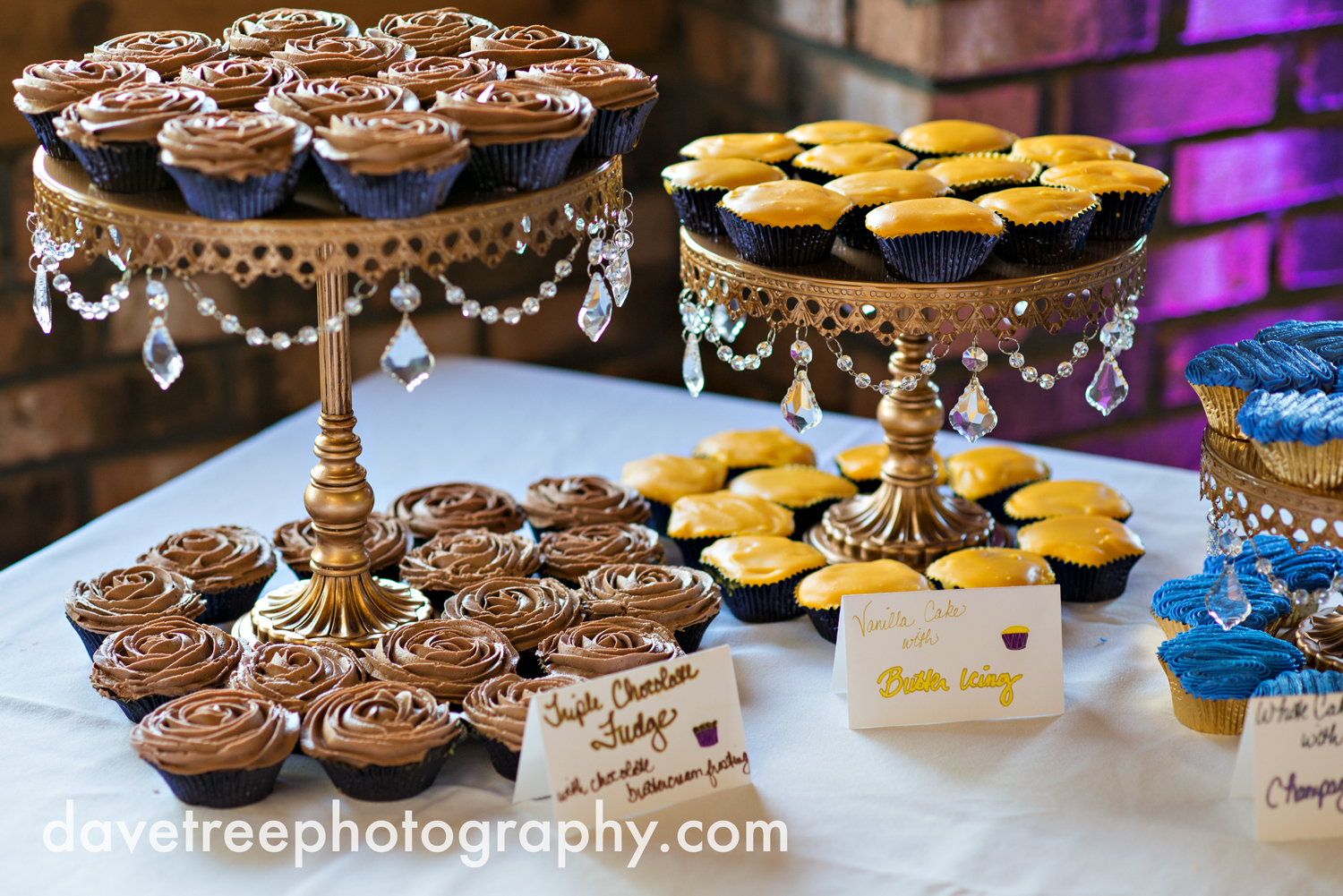 brooklyn_wedding_photographer_brooklyn_michigan_162.jpg