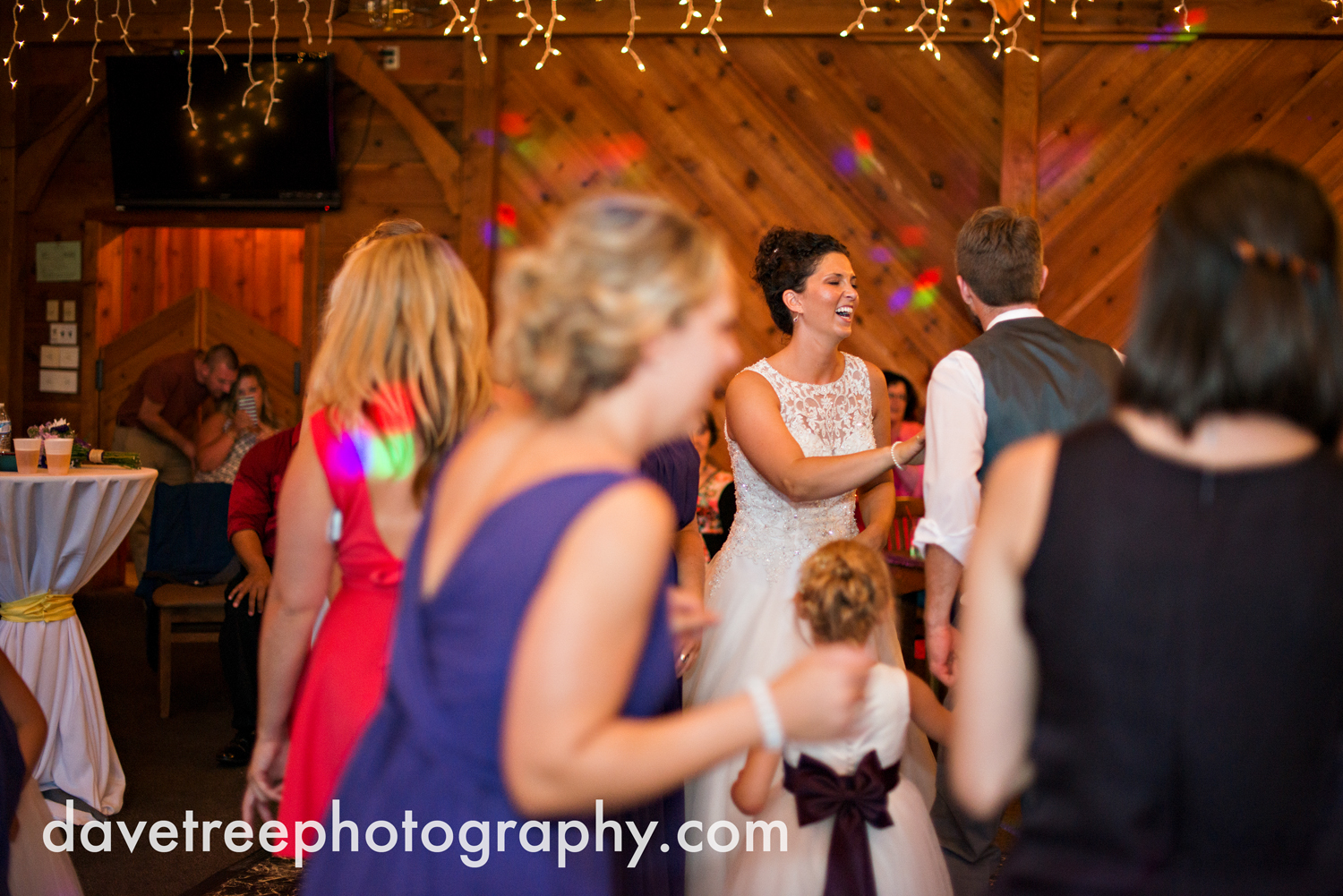 brooklyn_wedding_photographer_brooklyn_michigan_31.jpg