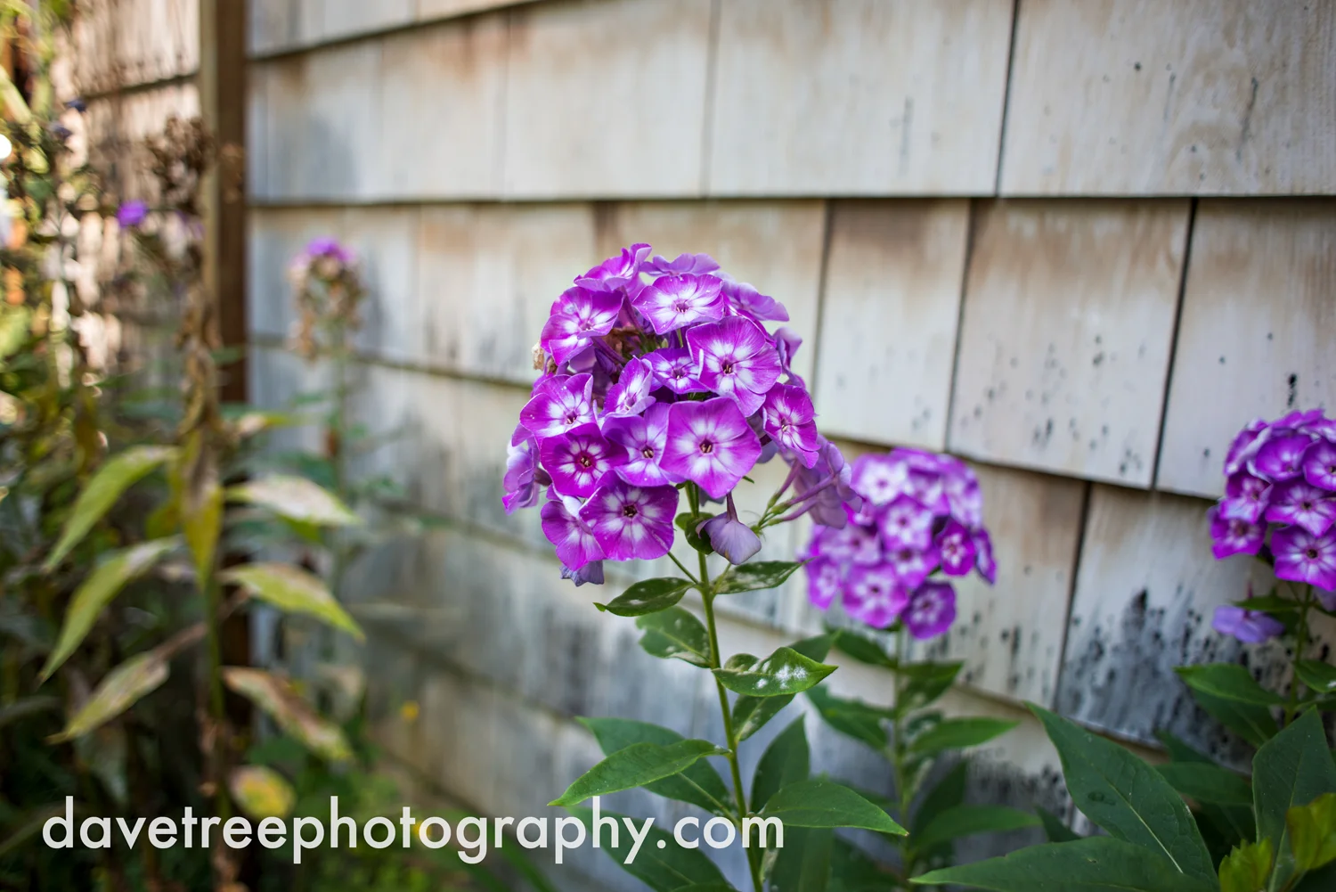 veranda_wedding_photographer_st_joseph_wedding_77.jpg