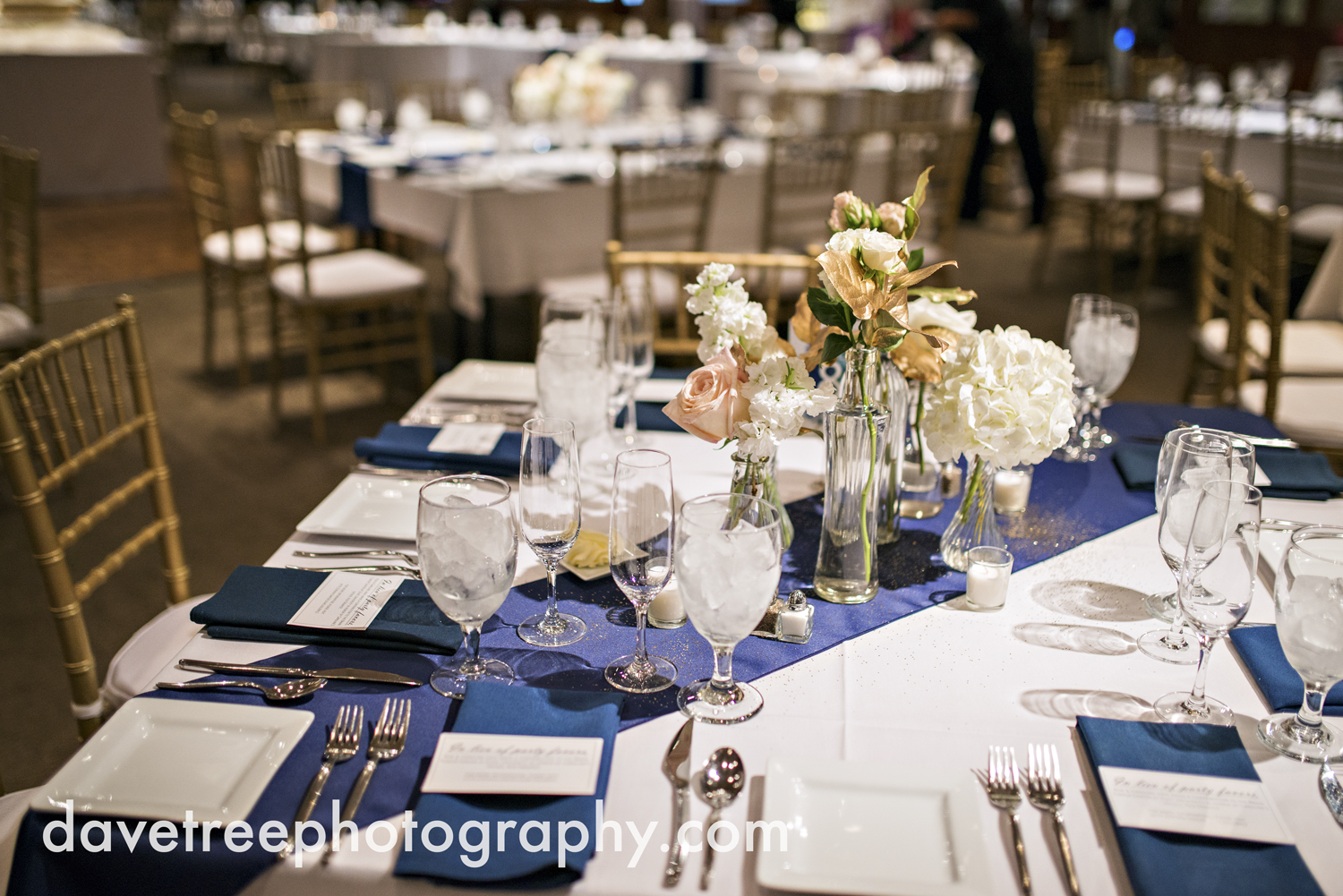 kalamazoo_wedding_photographer_Kalamazoo_weddings_109.jpg
