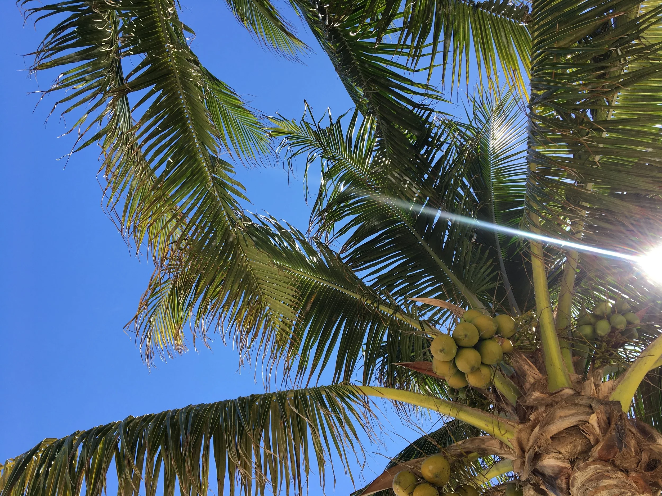 Mereces todo lo bueno