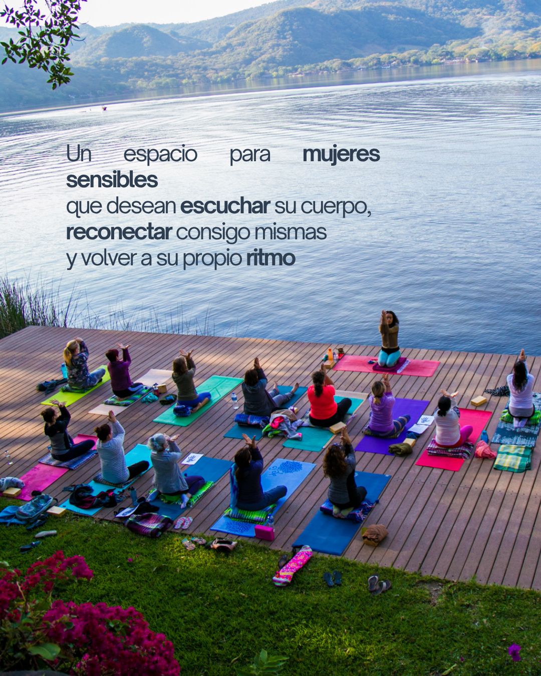 15.png