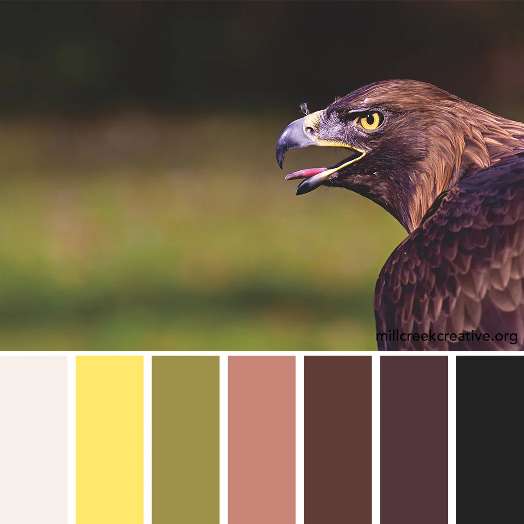 Eagle-Eye.jpg