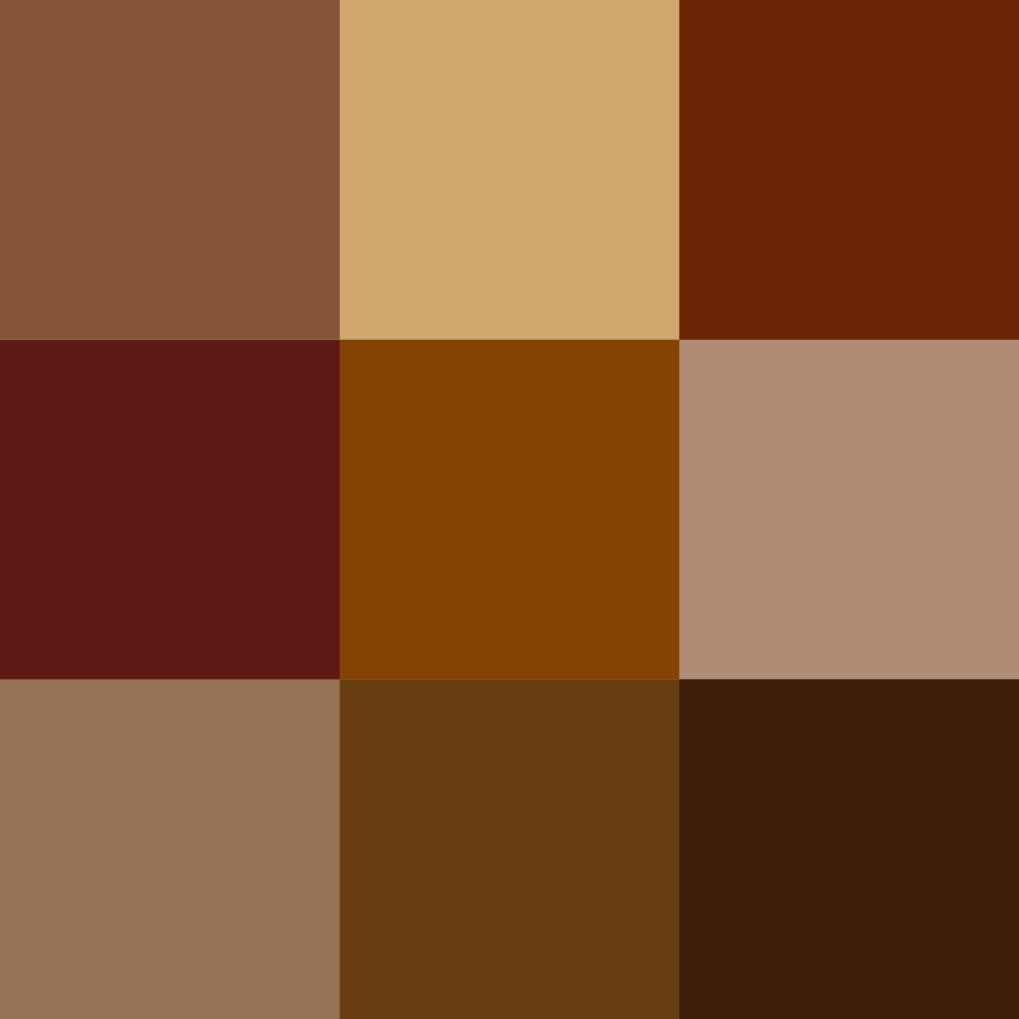 Brown Color Palette.png