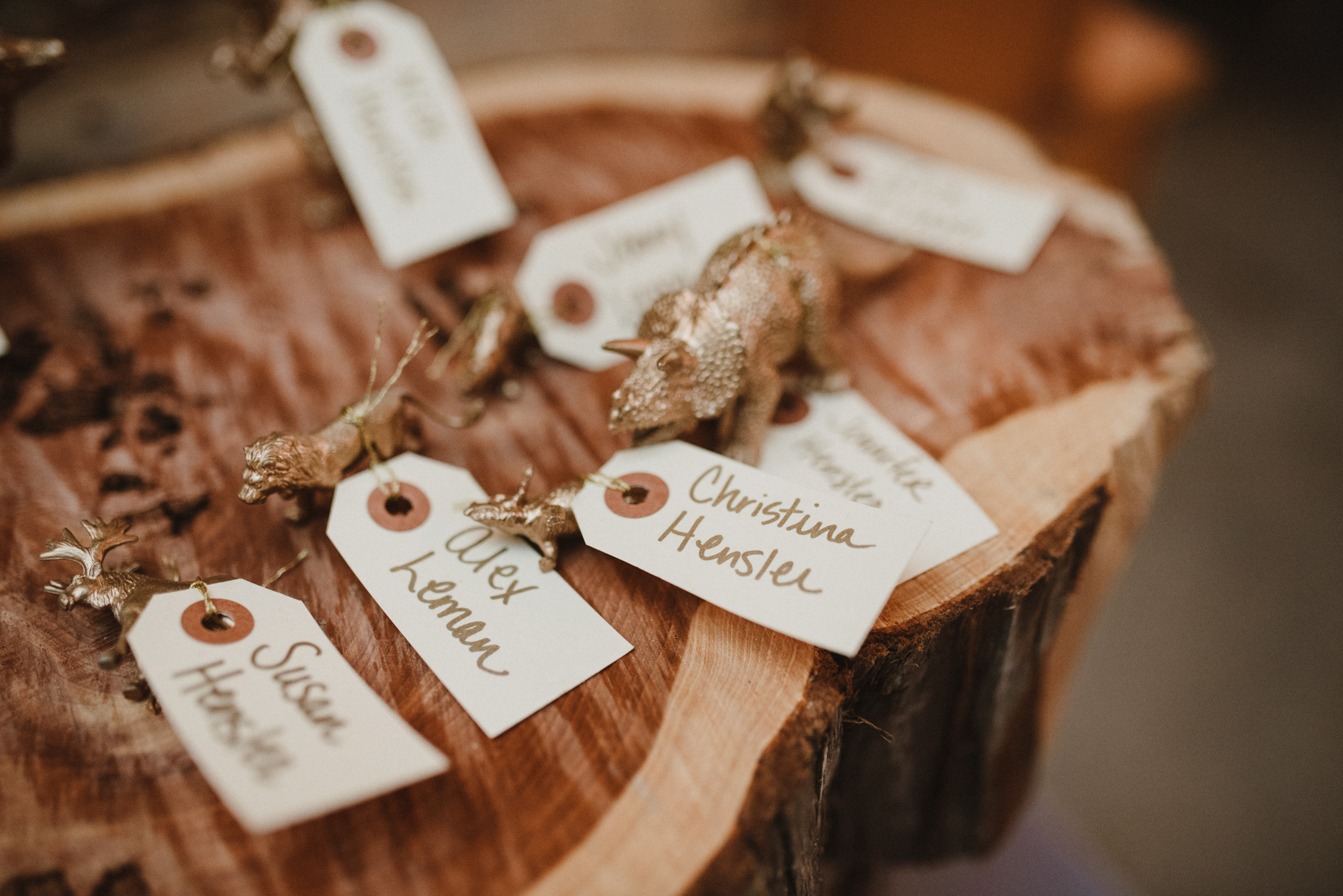 Delaware_Wedding_Photography_DSC_3922.jpg