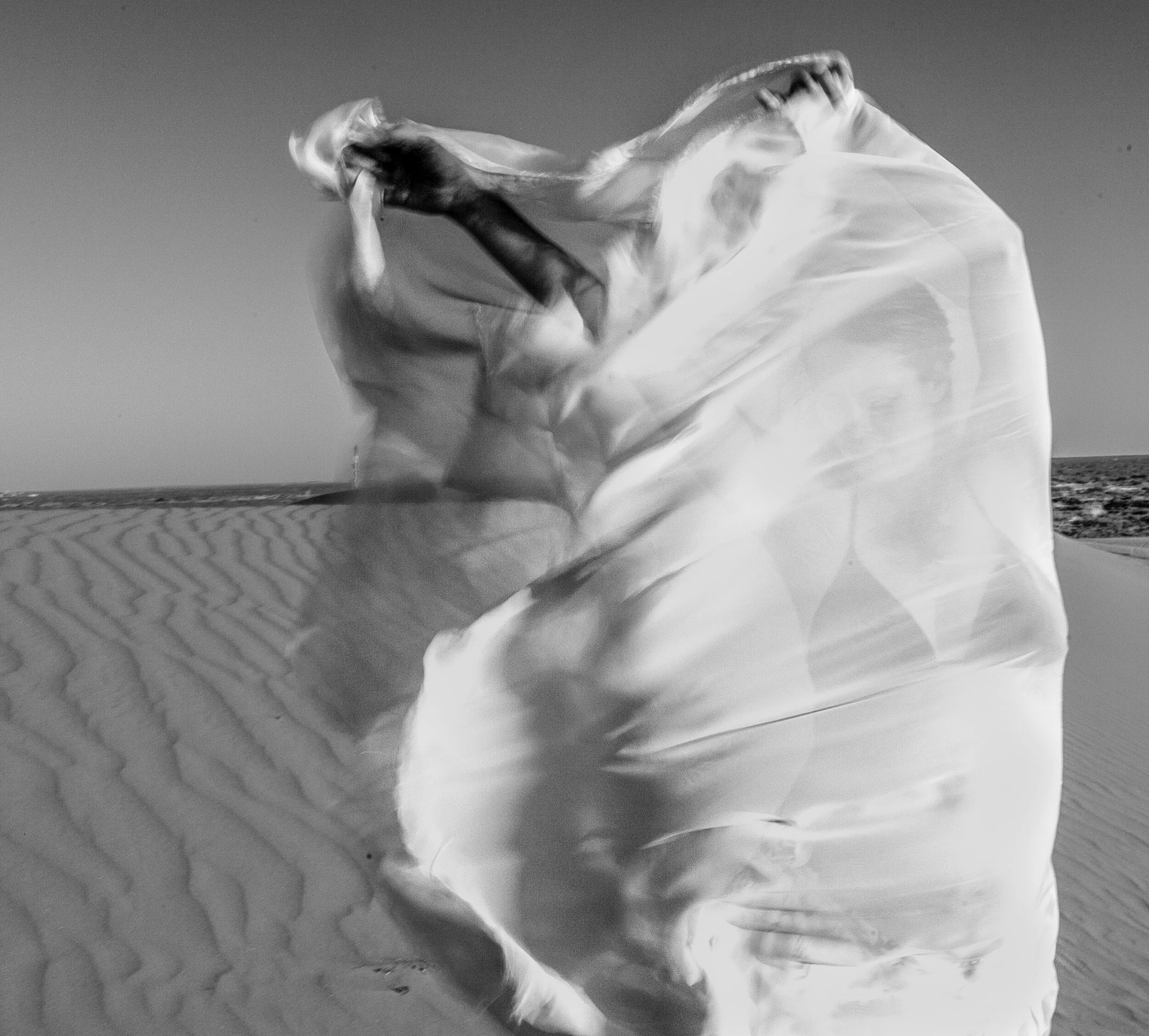 2013 Desert Flower_01.jpg