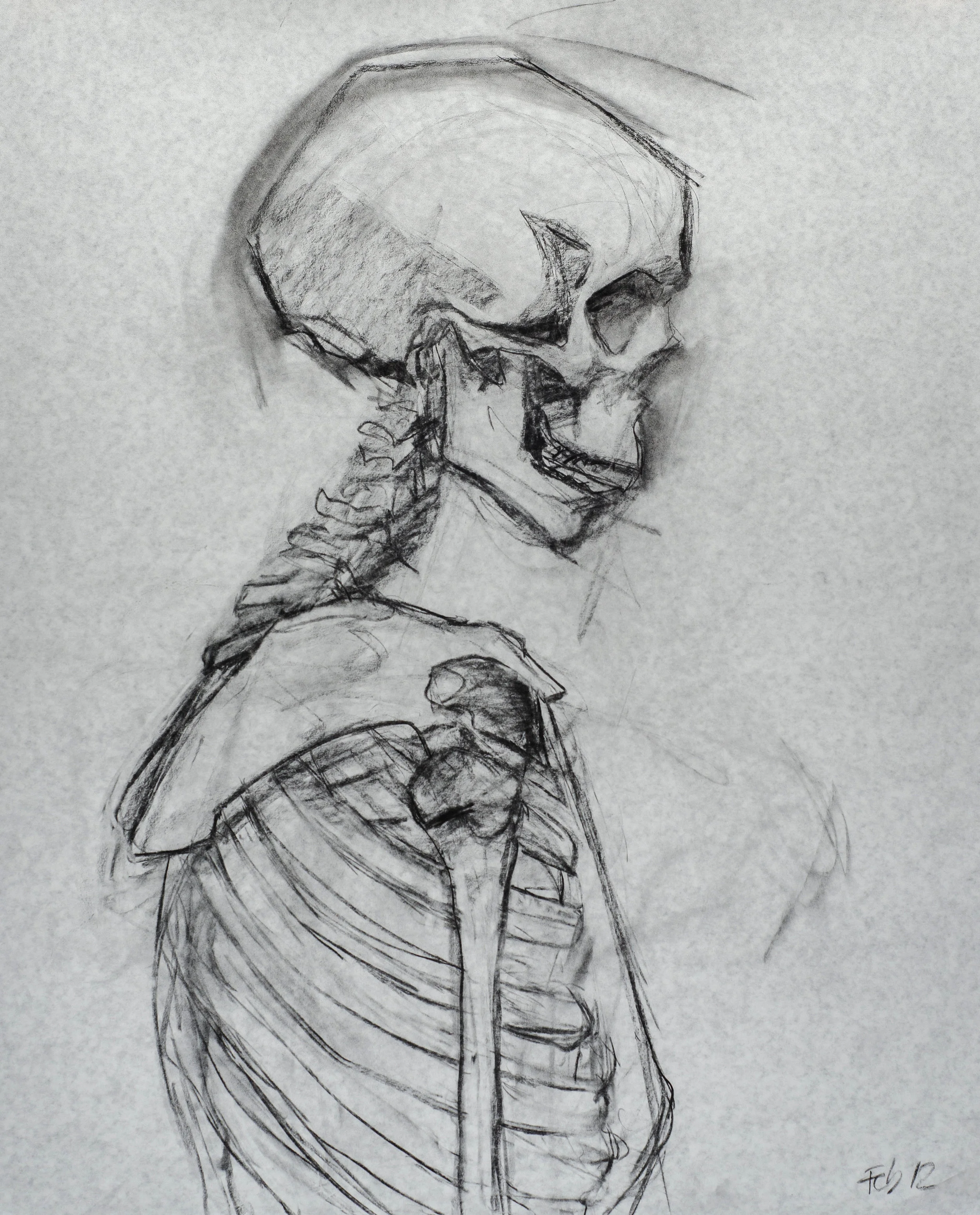 charcoal on paper 36 x 30 in. 91 x 76 cm