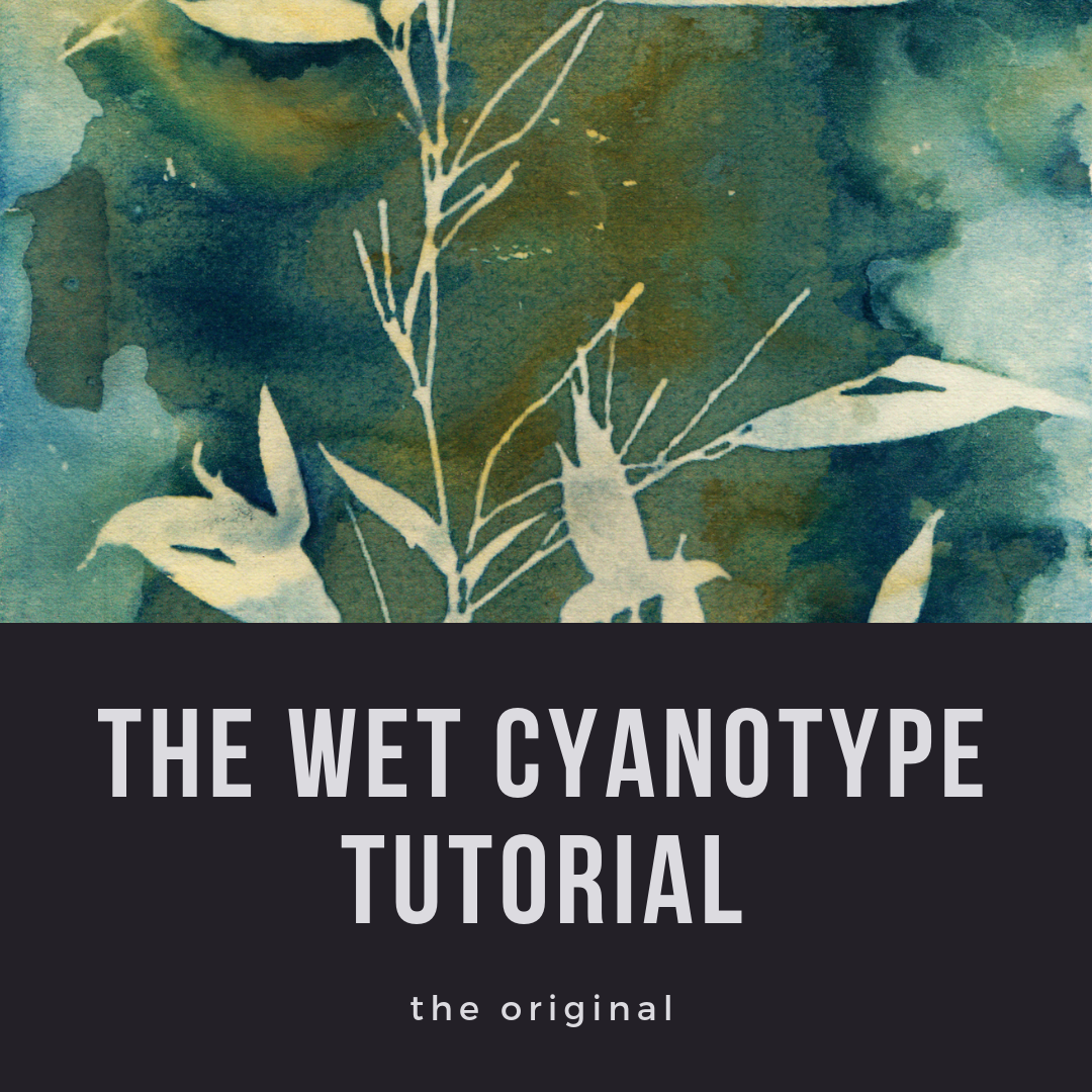 Wet Cyanotype Tutorial