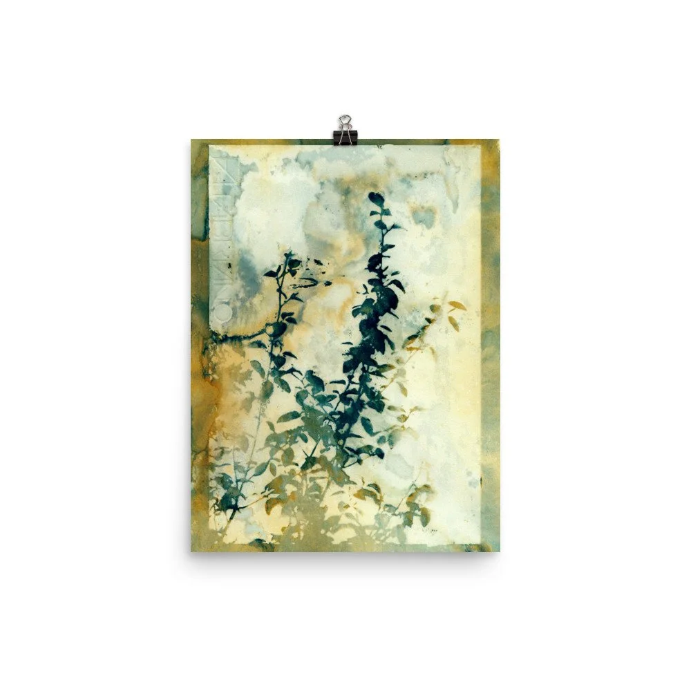 enhanced-matte-paper-poster-(in)-12x16-transparent-62e3128b2be7b.jpg