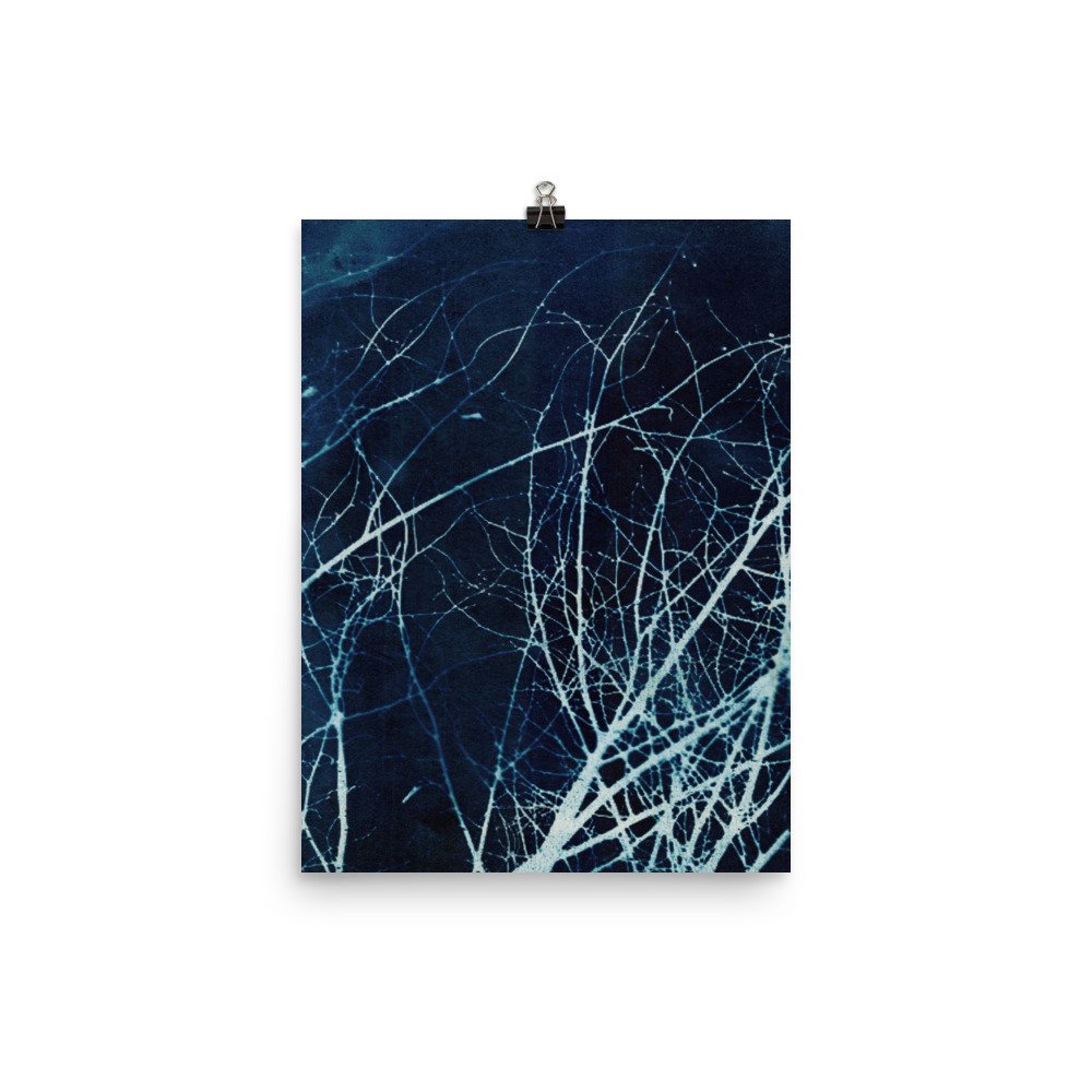 enhanced-matte-paper-poster-(in)-12x16-transparent-62e4b72287064.jpg