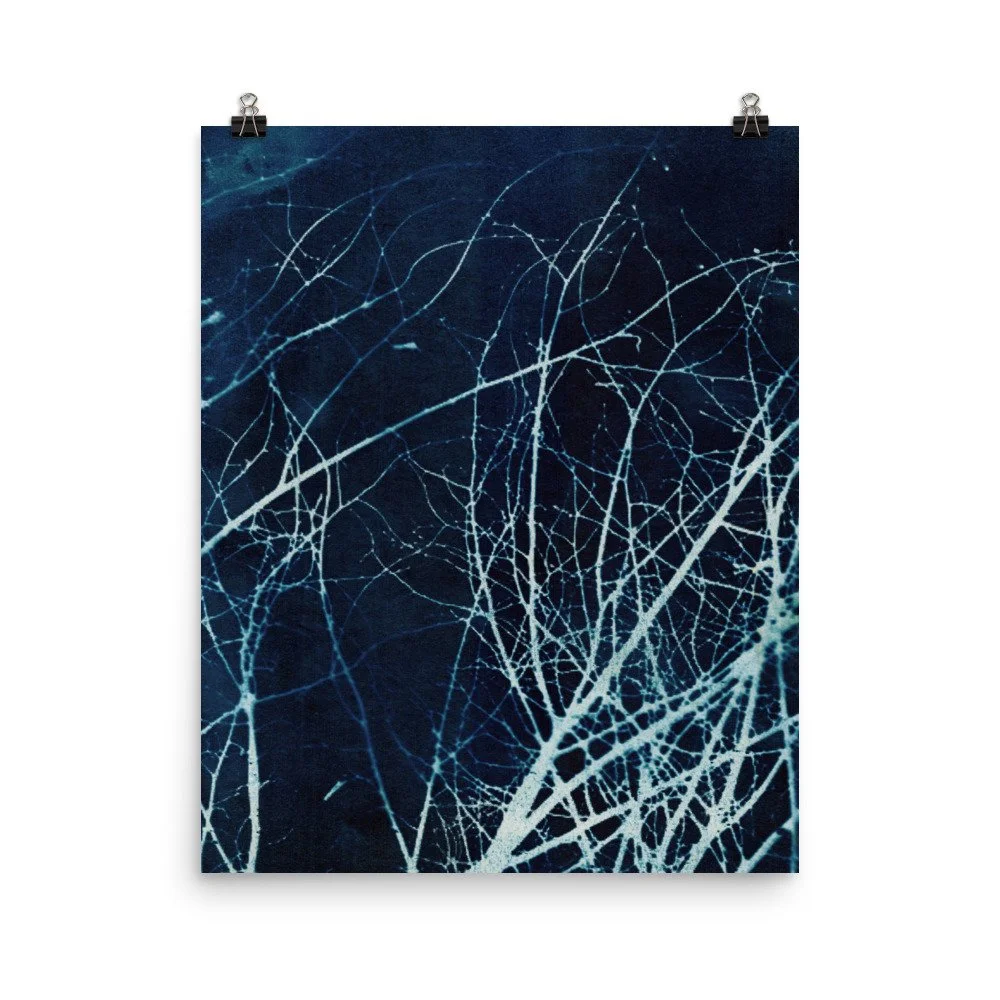enhanced-matte-paper-poster-(in)-16x20-transparent-62e4b72287226.jpg