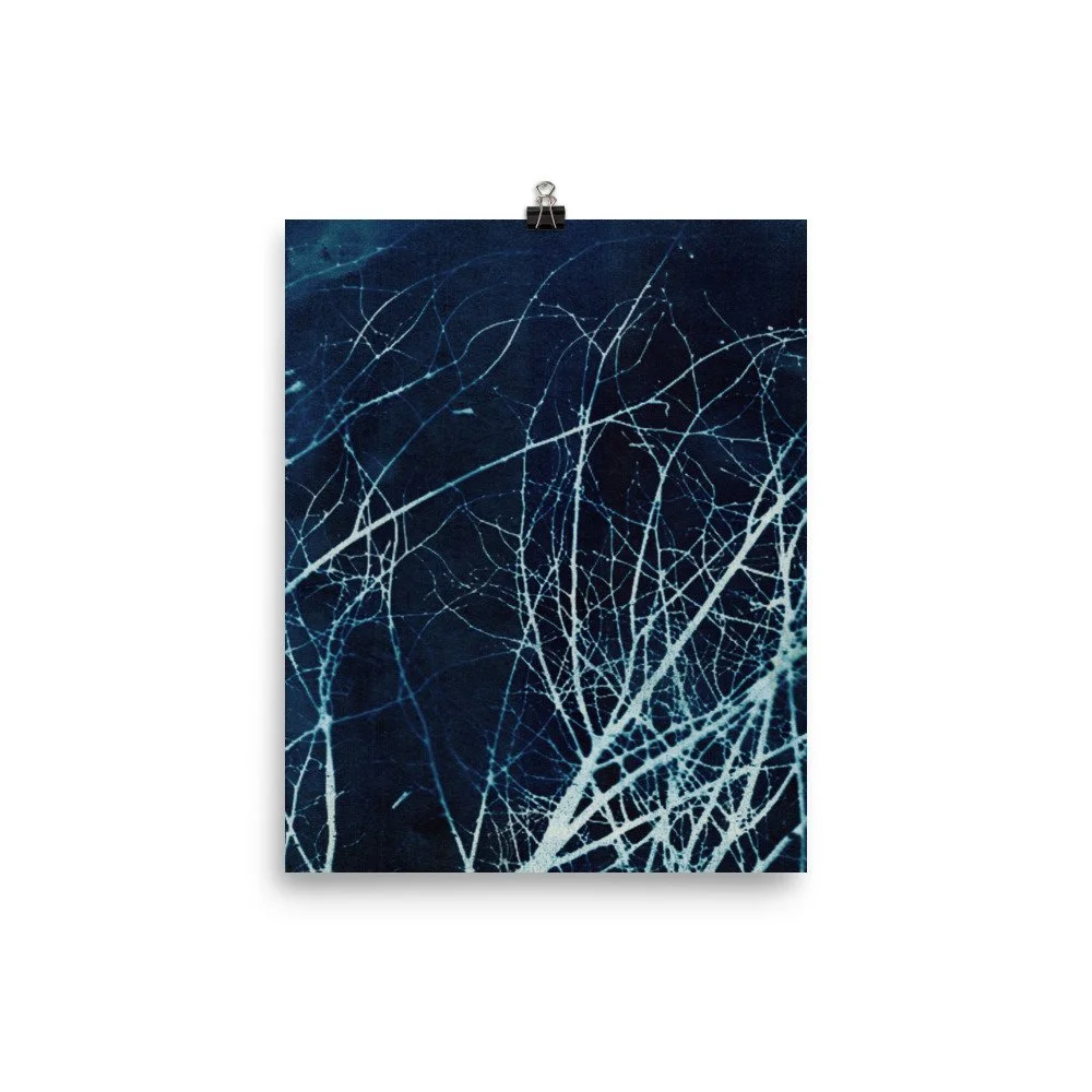 enhanced-matte-paper-poster-(in)-8x10-transparent-62e4b72287320.jpg