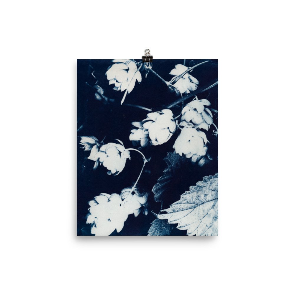enhanced-matte-paper-poster-(in)-8x10-transparent-62e5ccfb36342.jpg