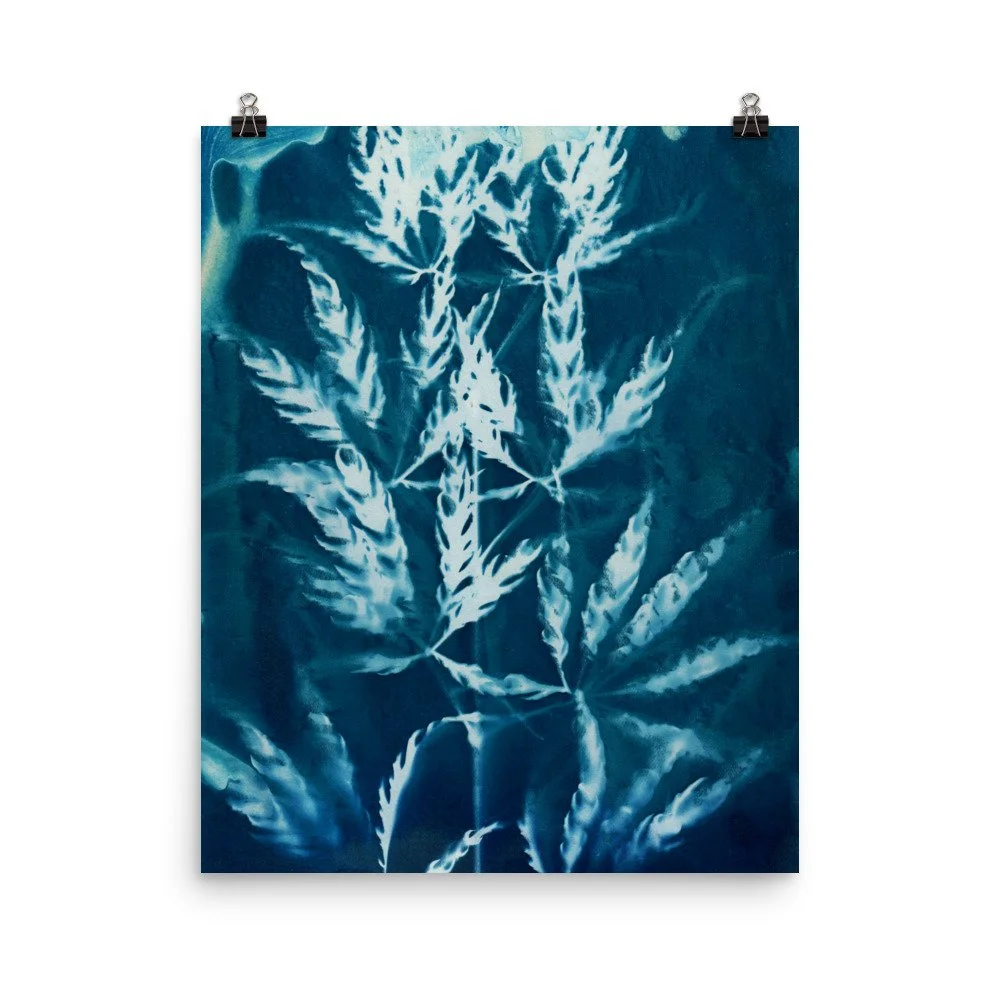 enhanced-matte-paper-poster-(in)-16x20-transparent-62e6235f54603.jpg