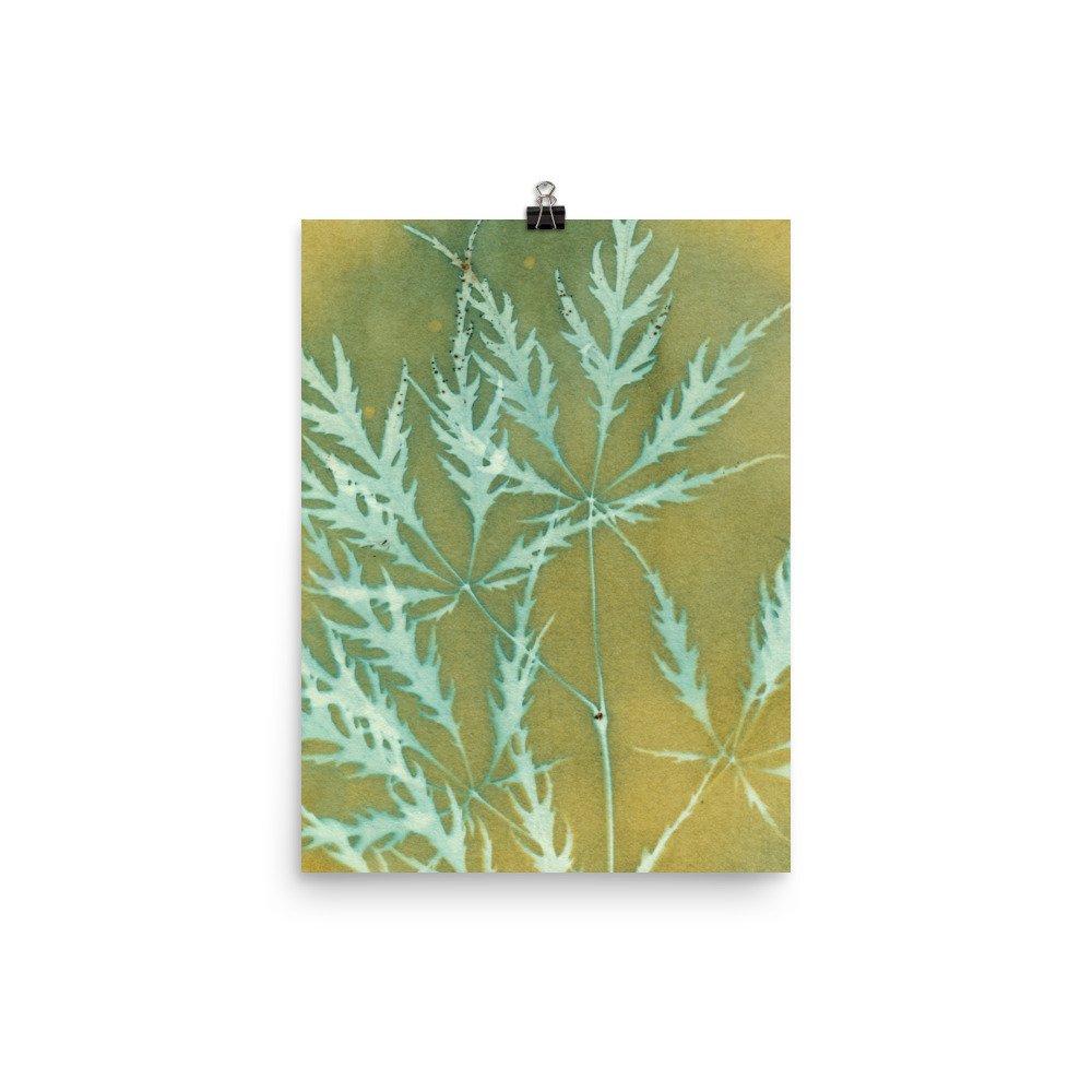 enhanced-matte-paper-poster-(in)-12x16-transparent-62e62a187e67d.jpg