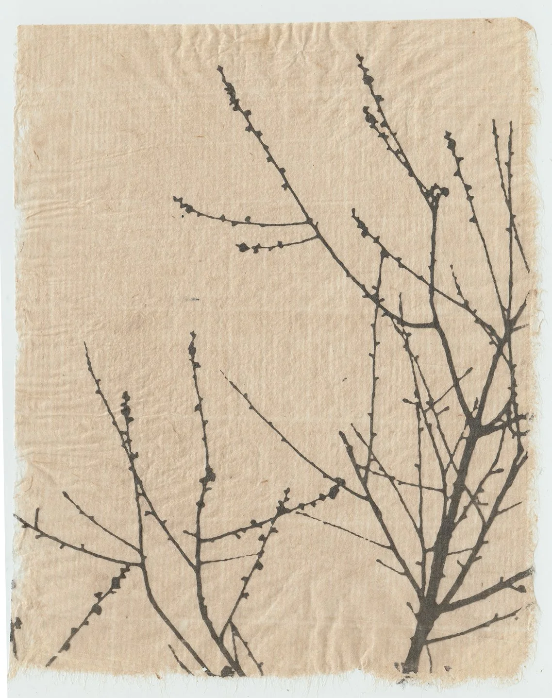 Scan 123 processed websize.jpg