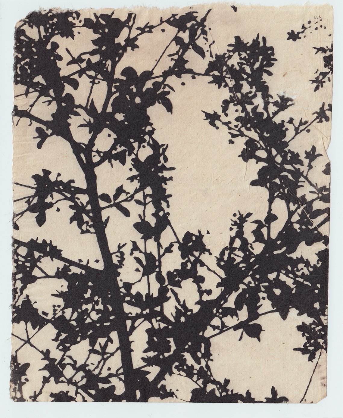 Scan 103 web size.jpg