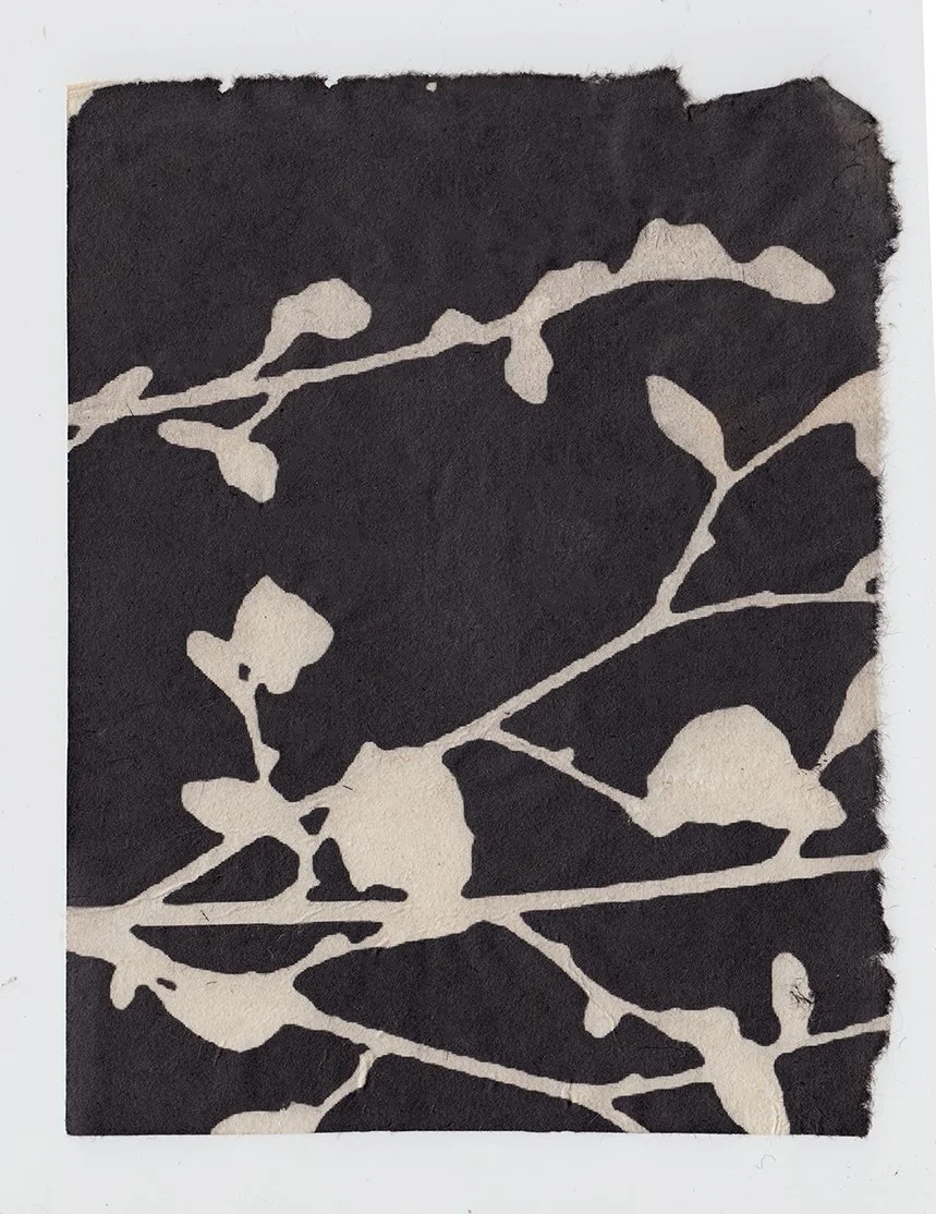 Scan 125 processed websize.jpg