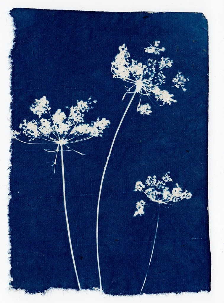 Scan 54 processed websize.jpg