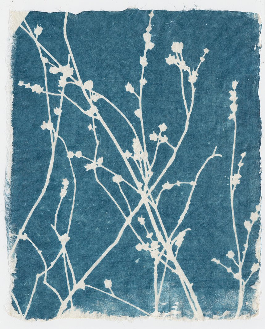 Scan 41 processed websize.jpg