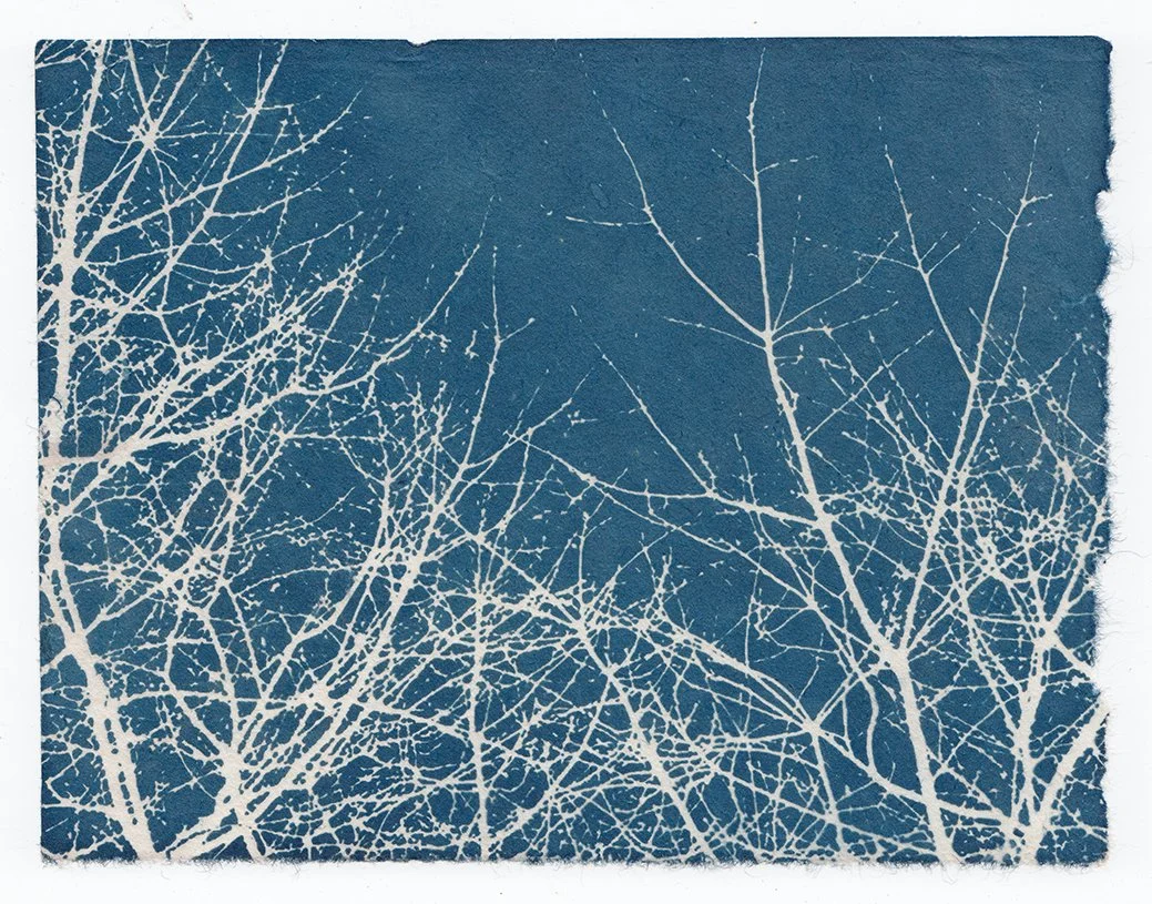 Cyanotypes on Antique Washi