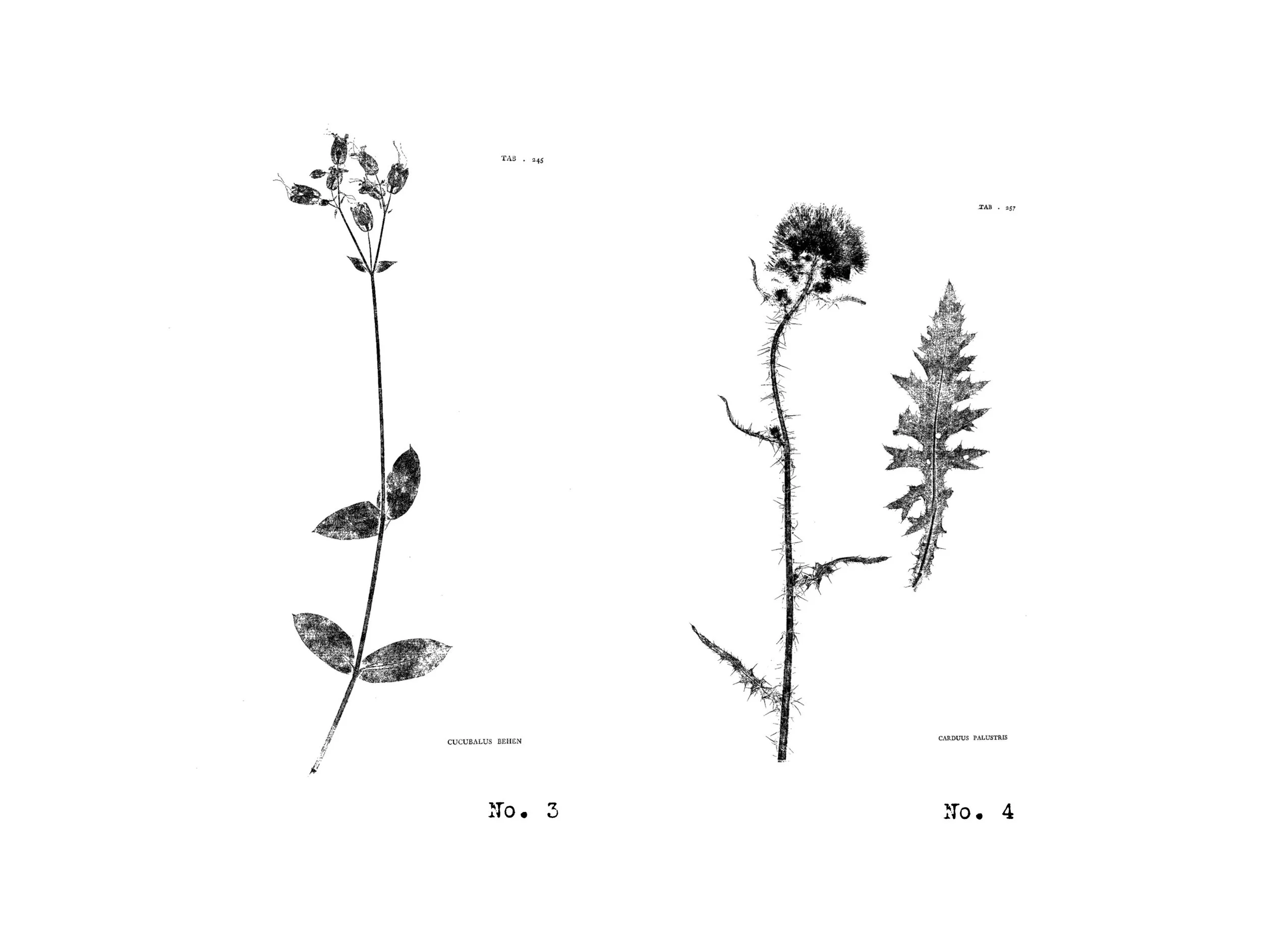 Thumbnail 2.jpg