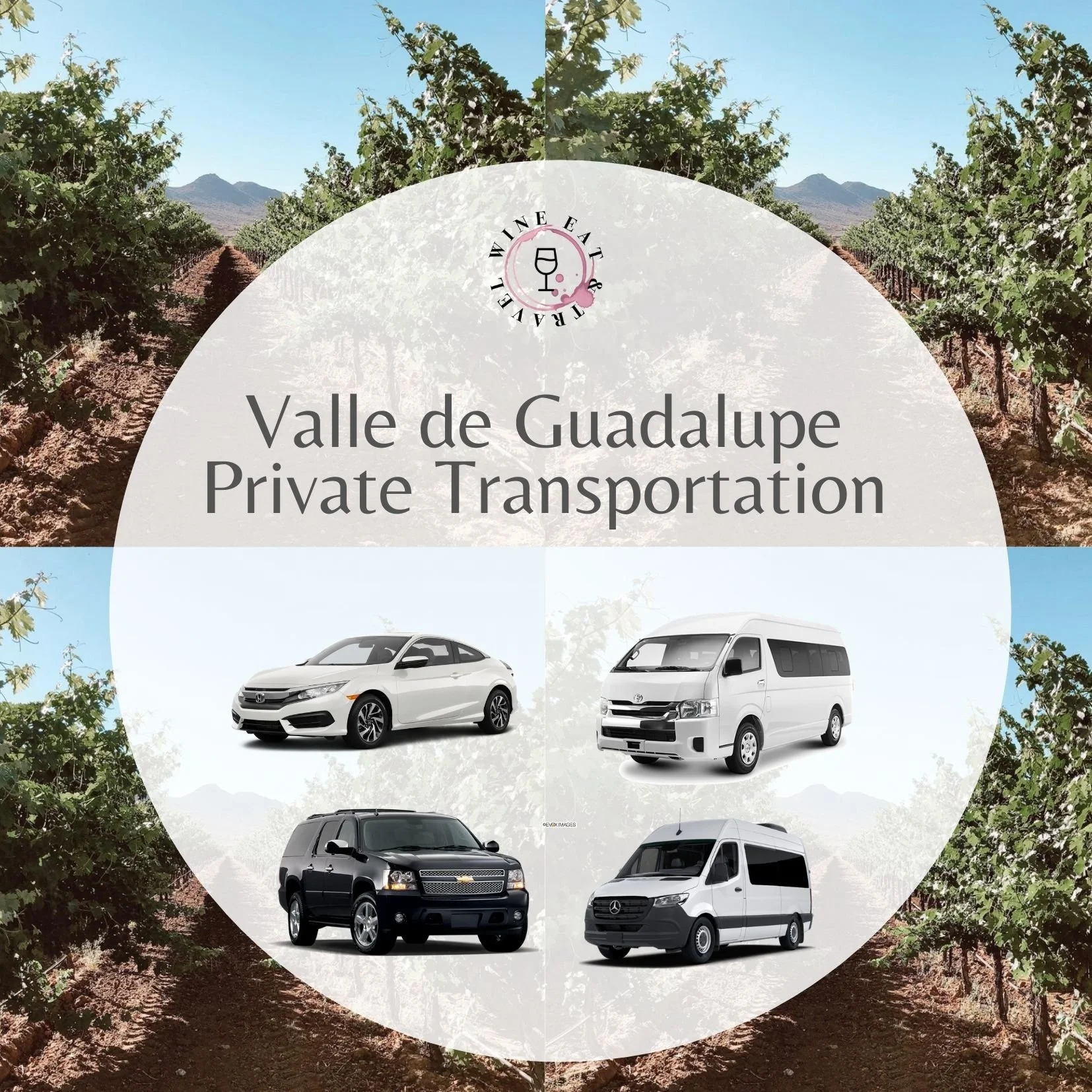 Valle de Guadalupe private transportation