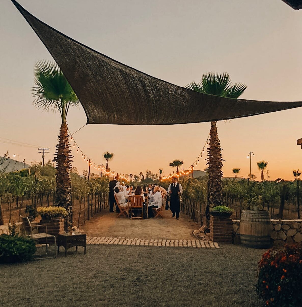 The White Gala #valledeguadalupe 

Exclusive corporate event host by award winning chefs and winemakers of the region frame by a corridor of vineyards. 

Private Travel Experience 
Designed by @wineeatandtravel 

We curate the unique experiences in t