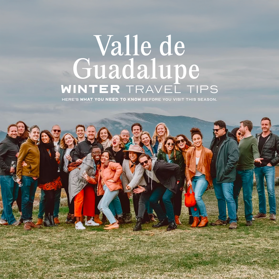  Winter in Valle de Guadalupe: Your friendly local guide to hotels, weather and wine 