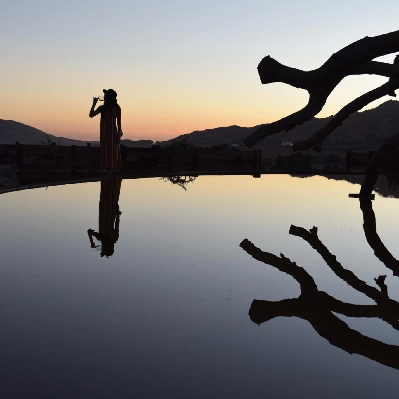 The Baja Wine Country Michelin Guide: Exploring New Ratings and ...