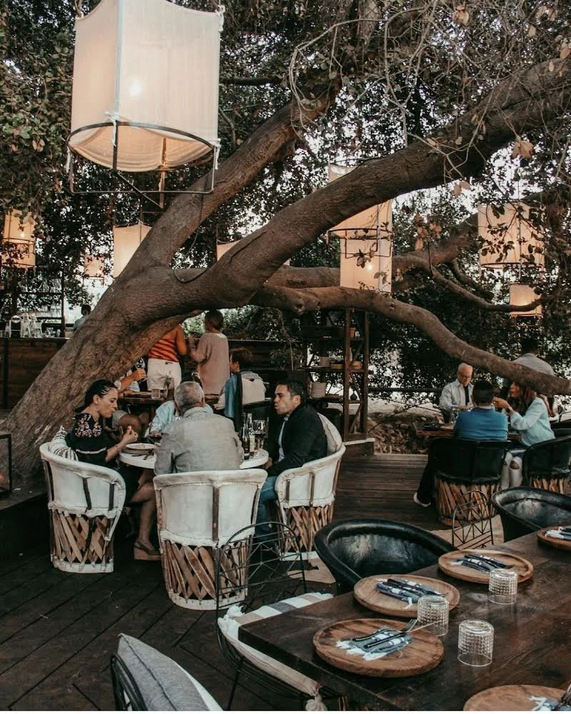 Animalon Restaurant Valle de Guadalupe