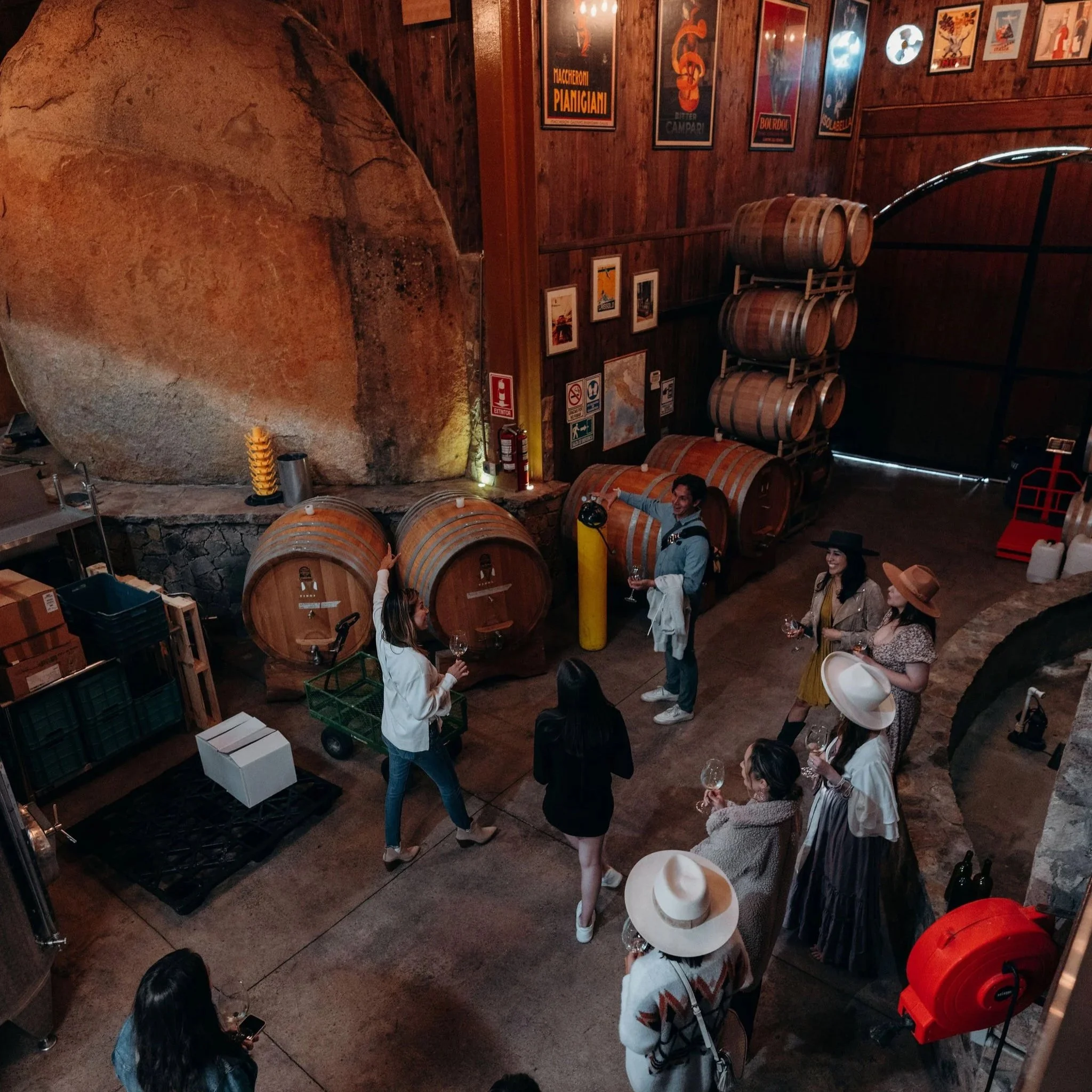 Valle de Guadalupe Barrel Tasting Experience
