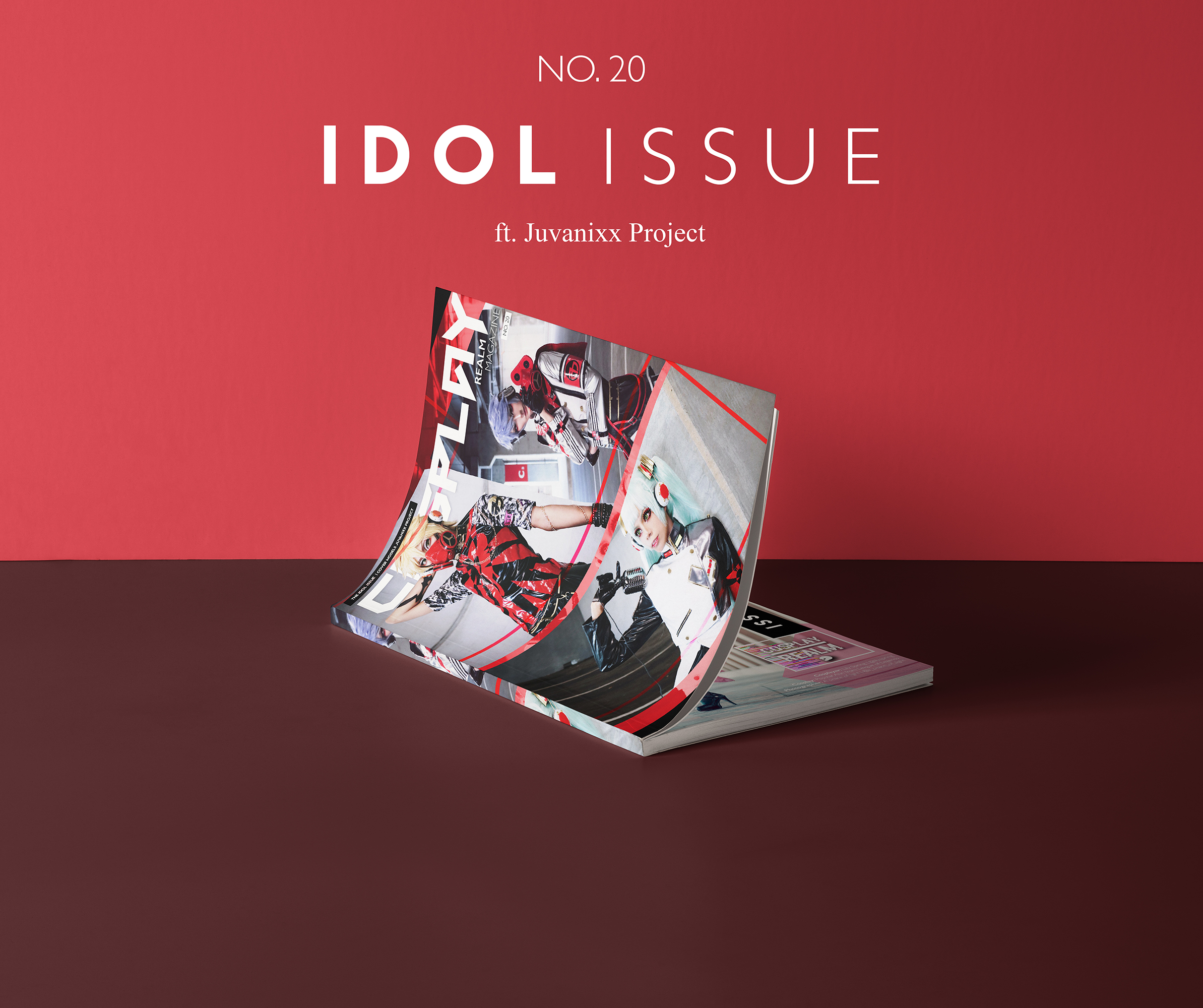 CRM No. 20 The Idol Issue