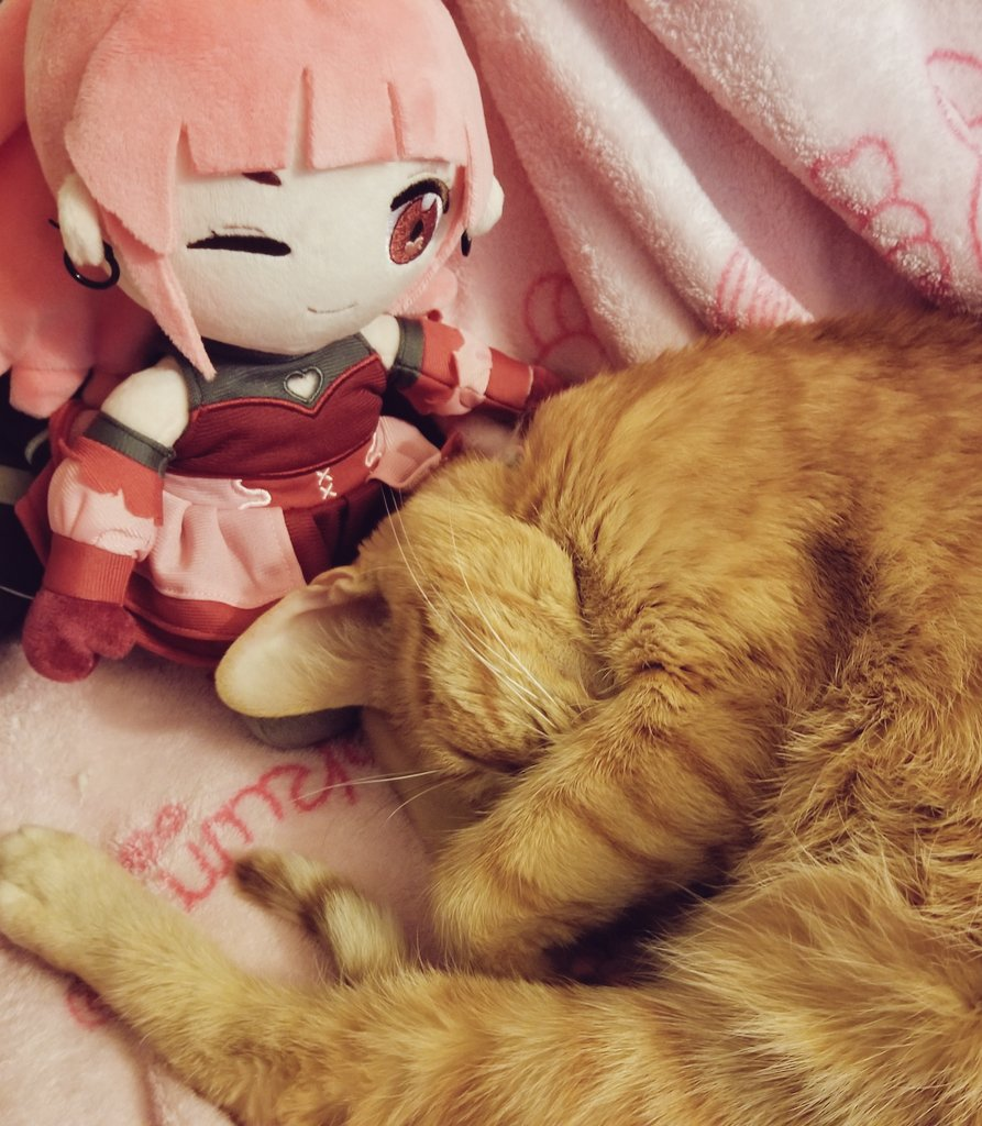 Dollies_Sample_2.png