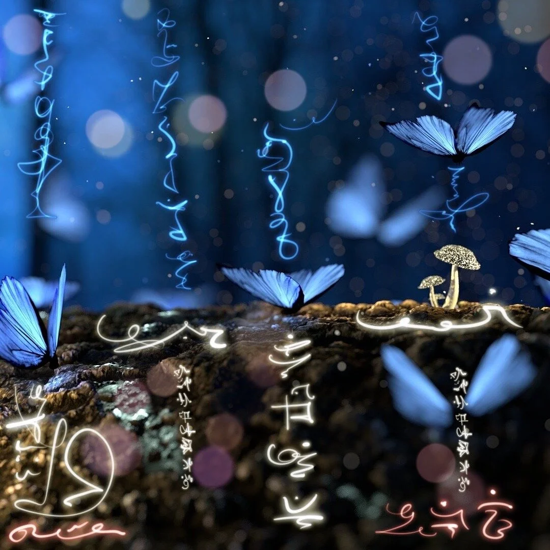 Kaleidascope Butterfly.JPG