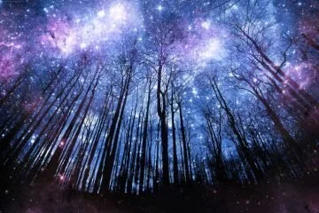 mind-celestial forest sky.jpg