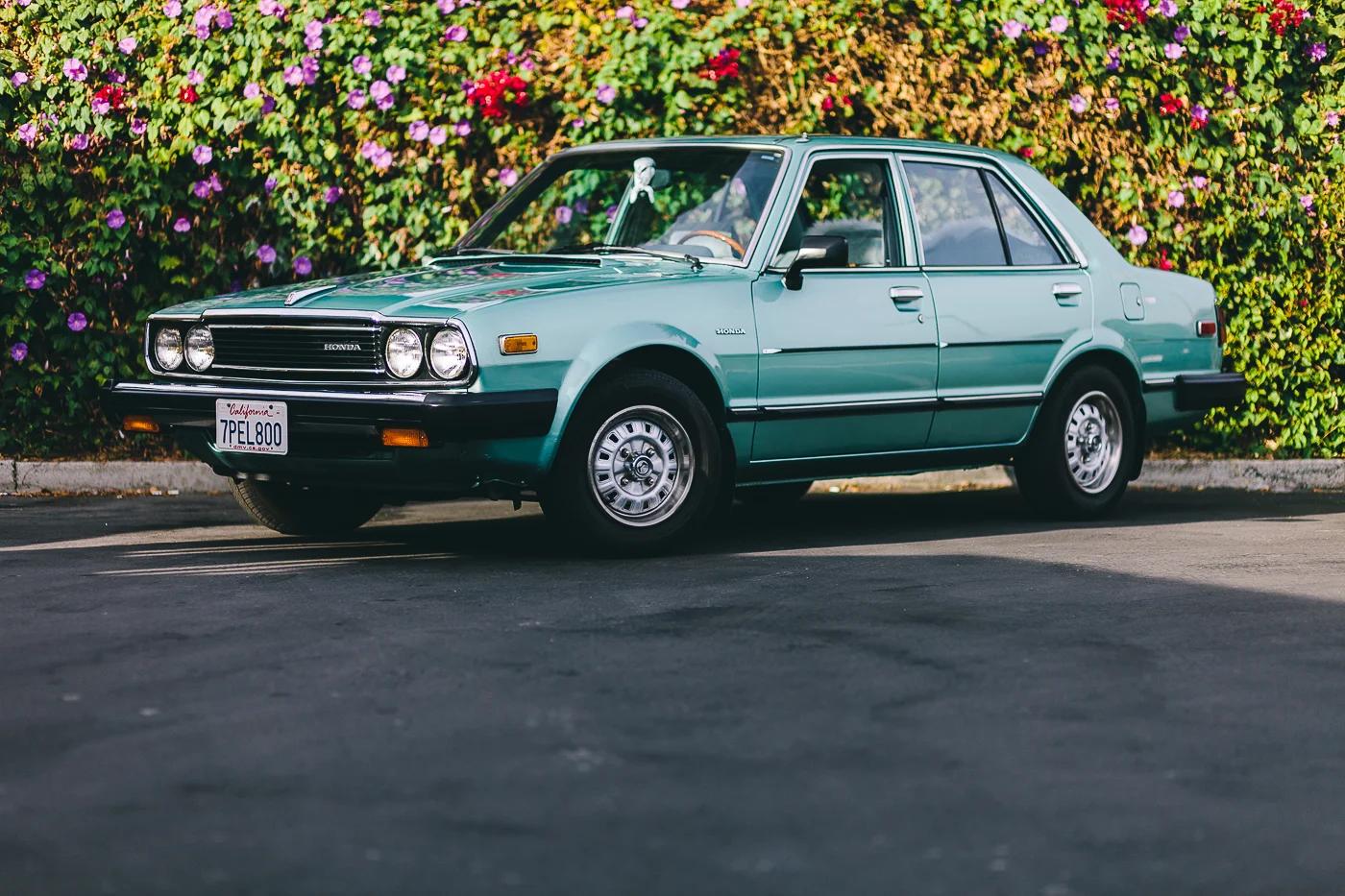 1981 Honda Accord Sannie Celeridad
