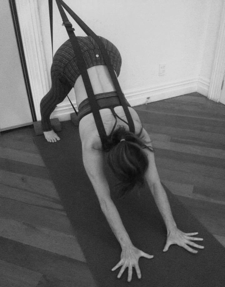 suzi elastic.jpg