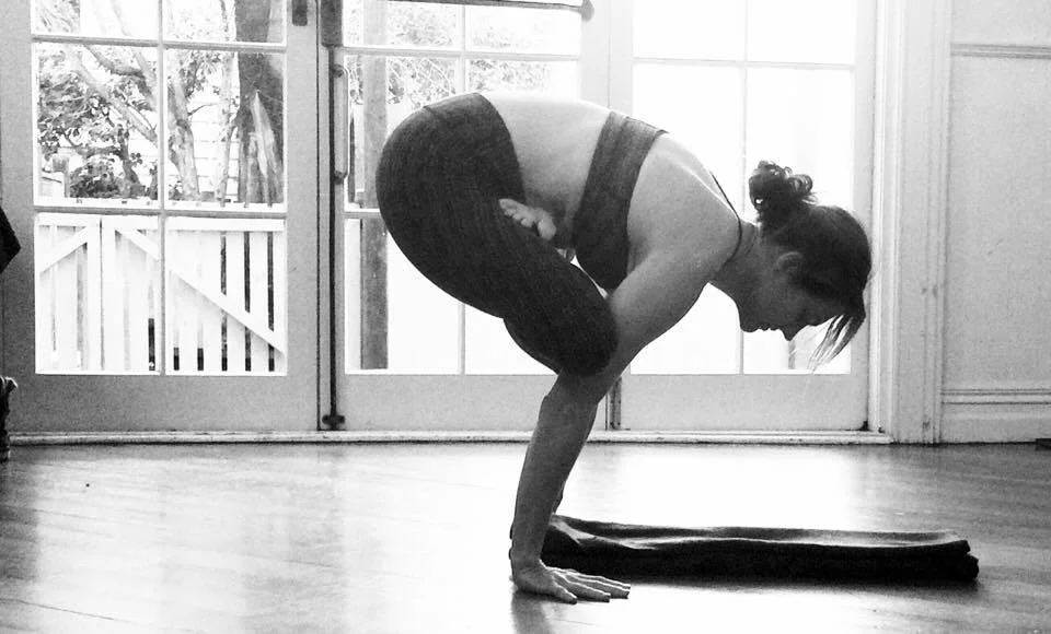 padmasana in arm balance2 .jpg