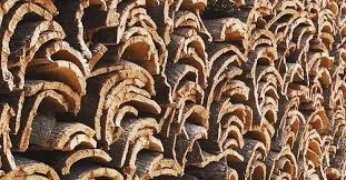 cork 3.jpg