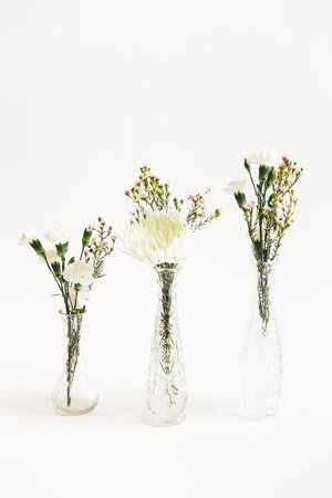 Glass Bud Vase Collection