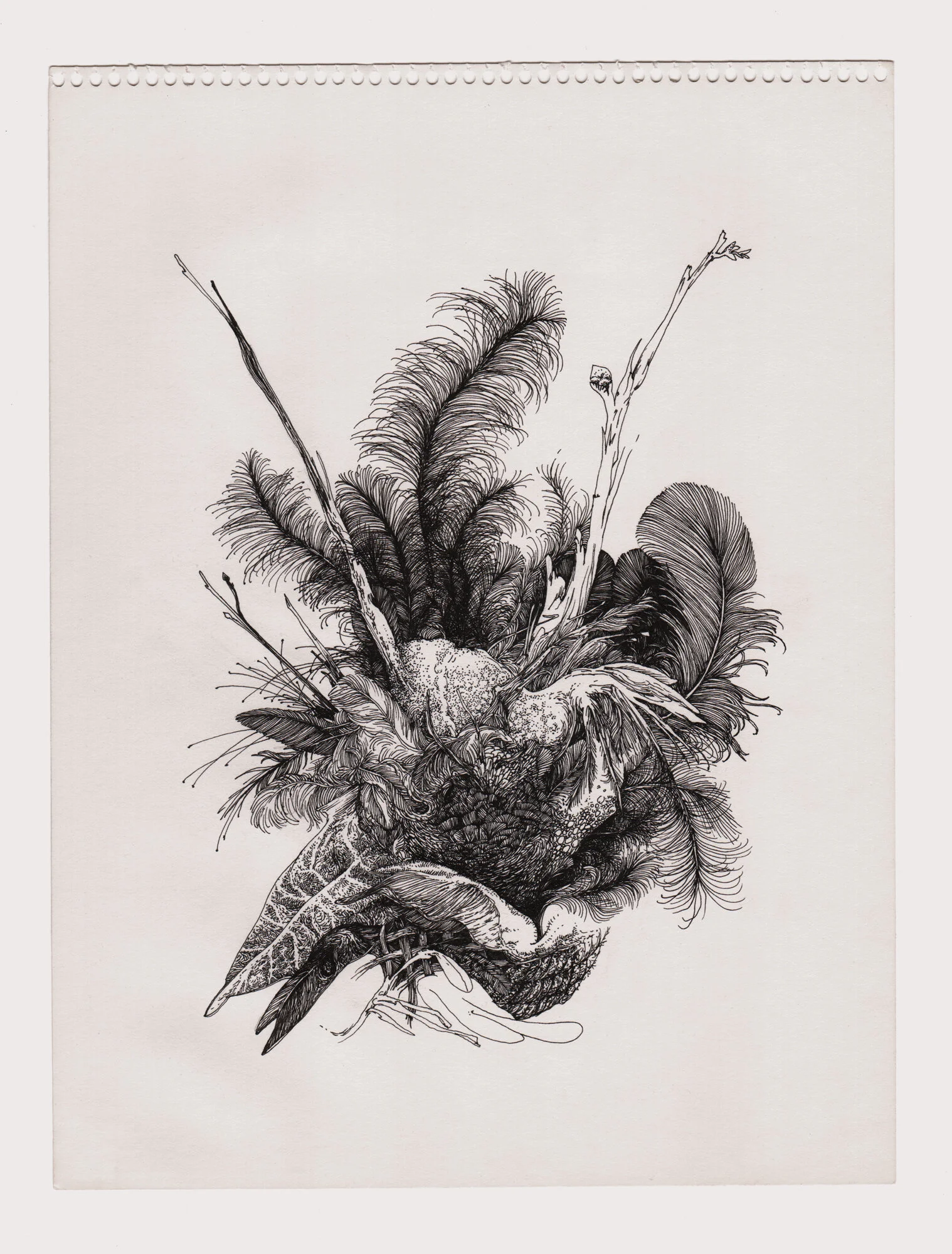 birds-5-web.jpg