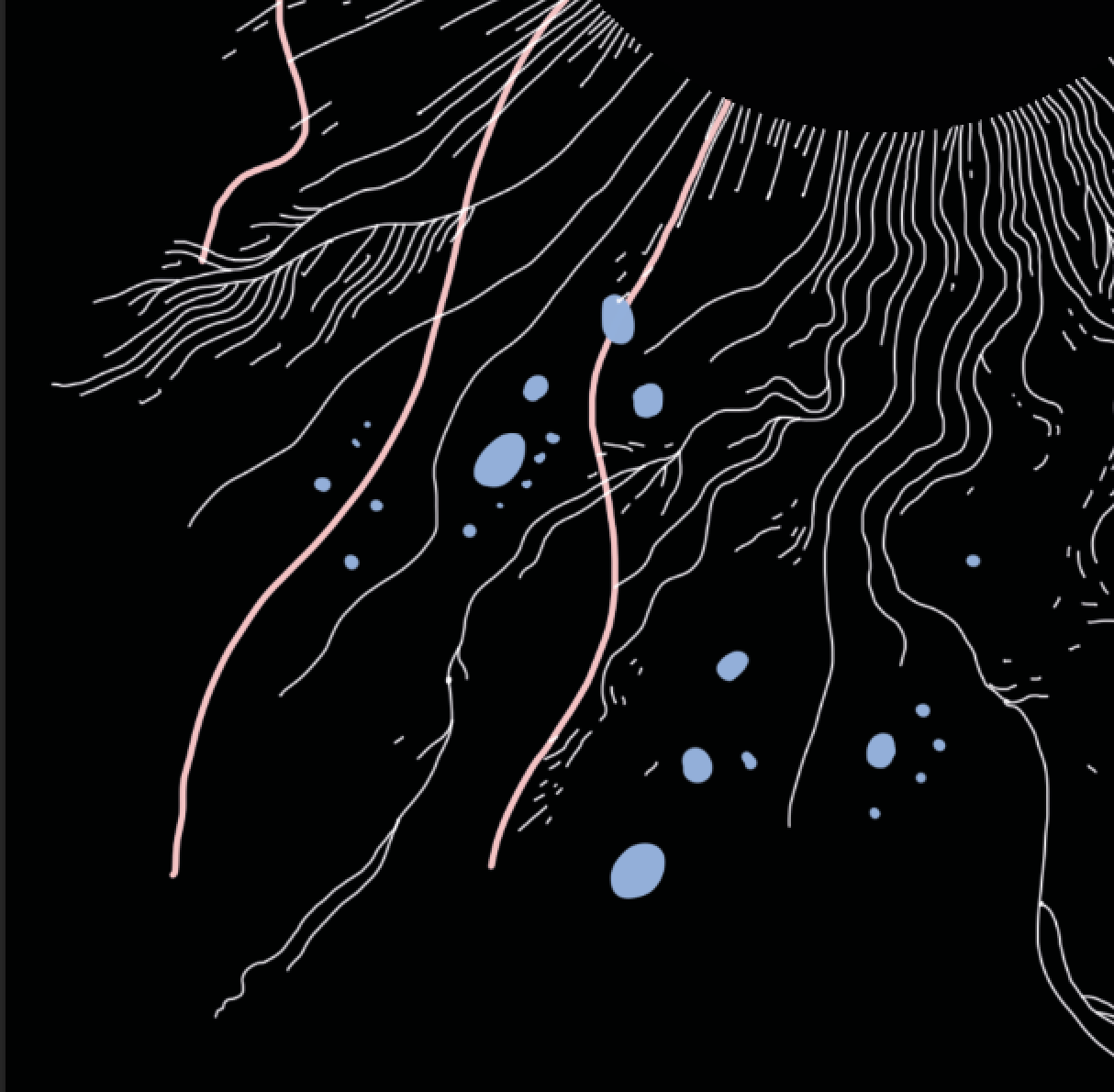 Screen Shot 2020-01-19 at 4.15.49 PM.png