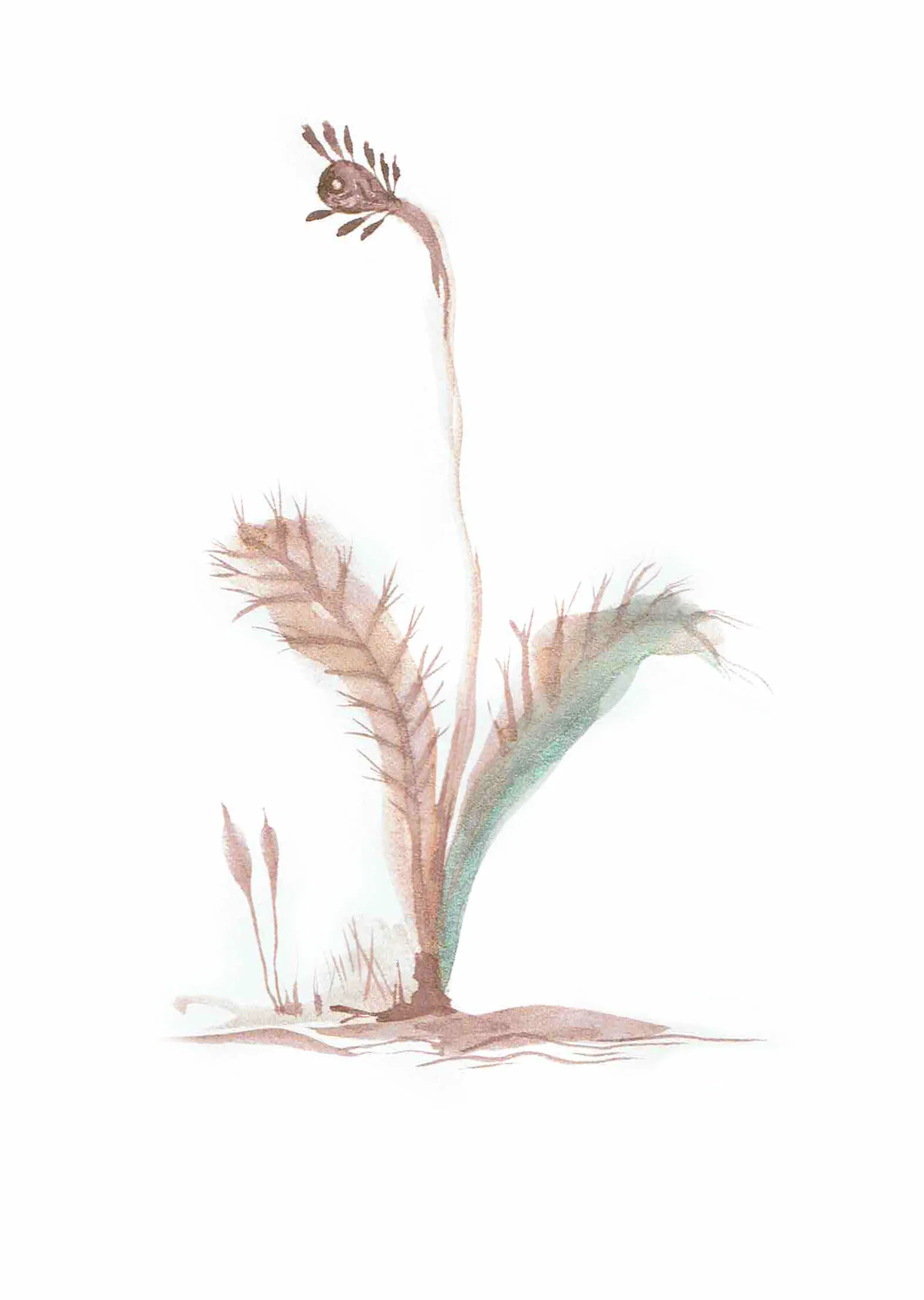2018-12-late-bloomer.jpg