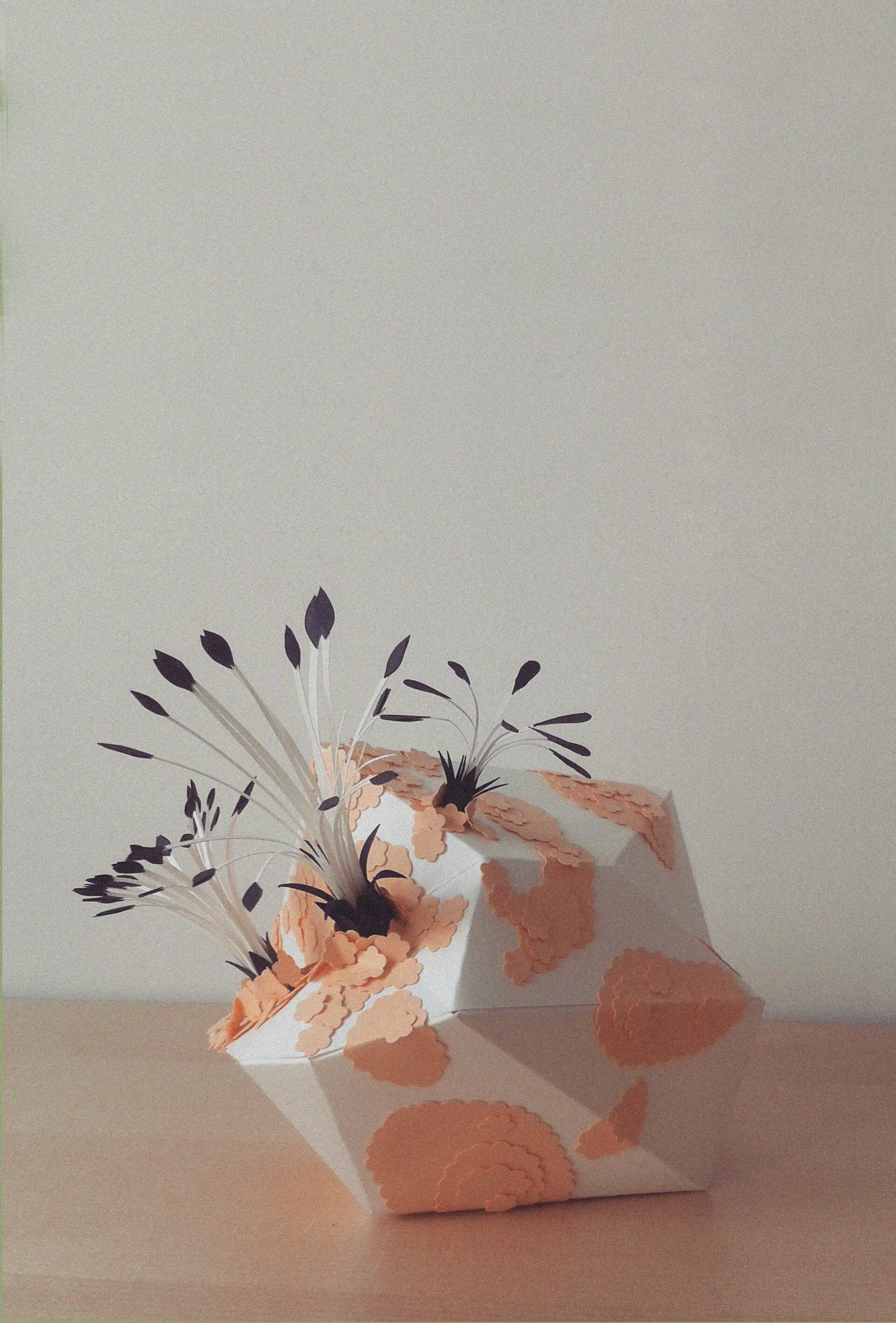 2015-09-plume.jpg