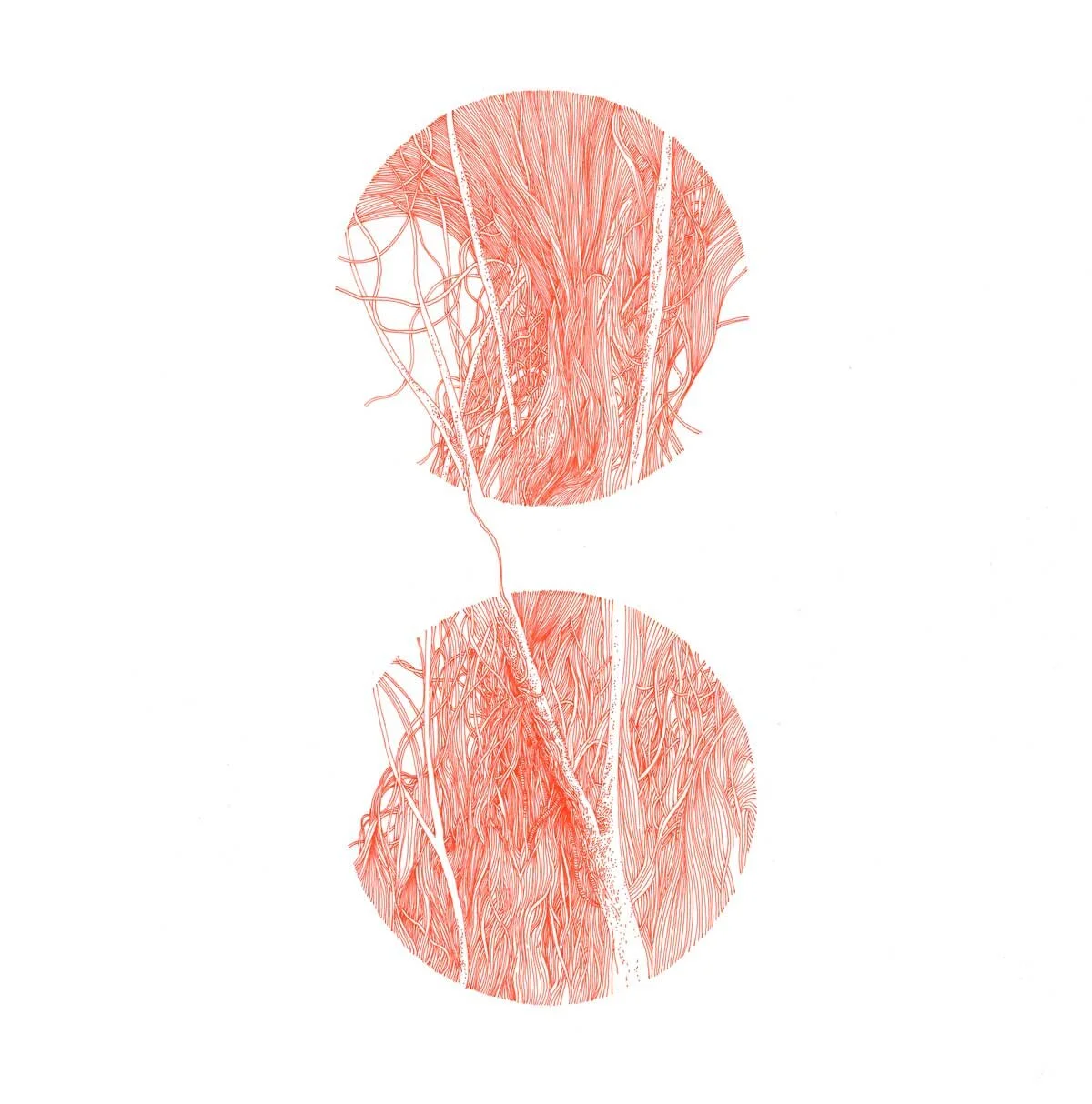 red-circles-3.jpg