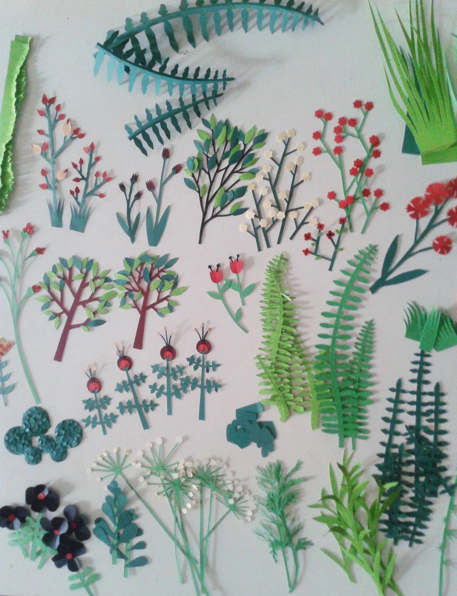 2015-plants.jpg