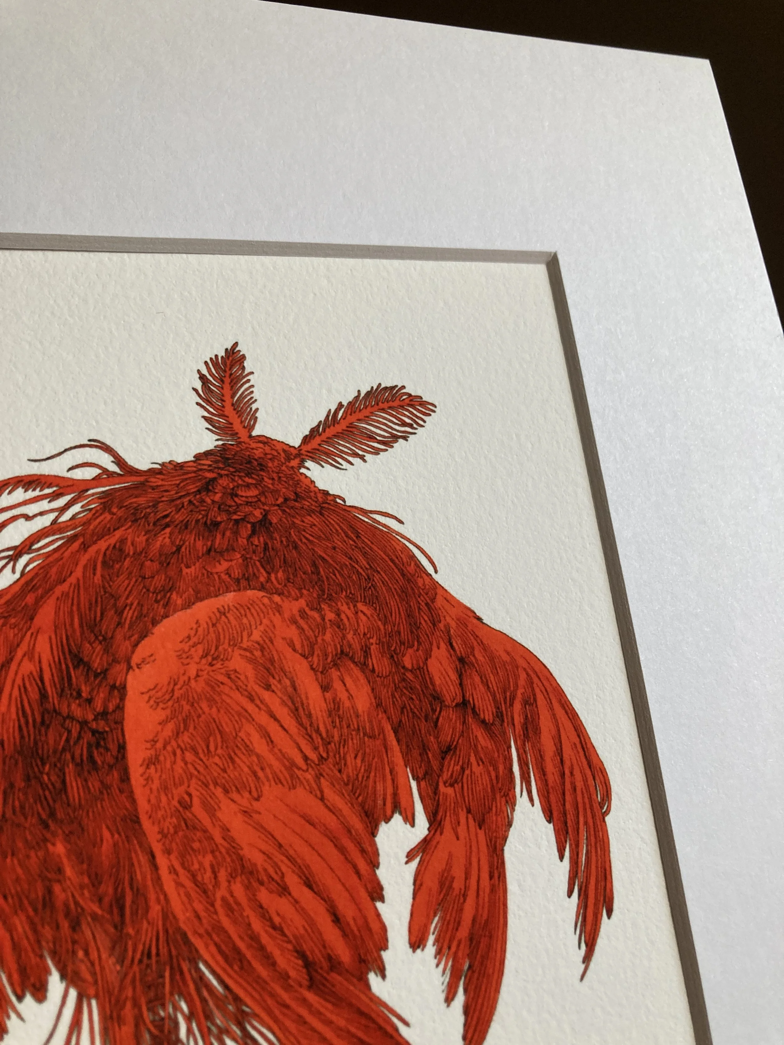 floating-8x10 print-4.JPG