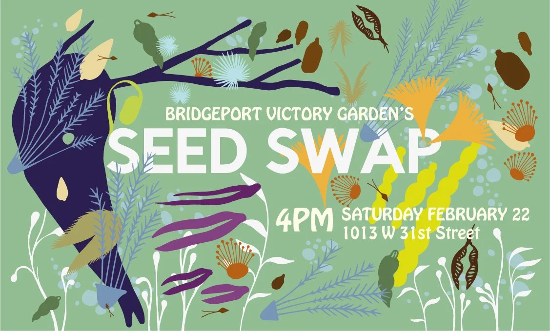 seed-swap-flyer-export-16-feb copie.jpg